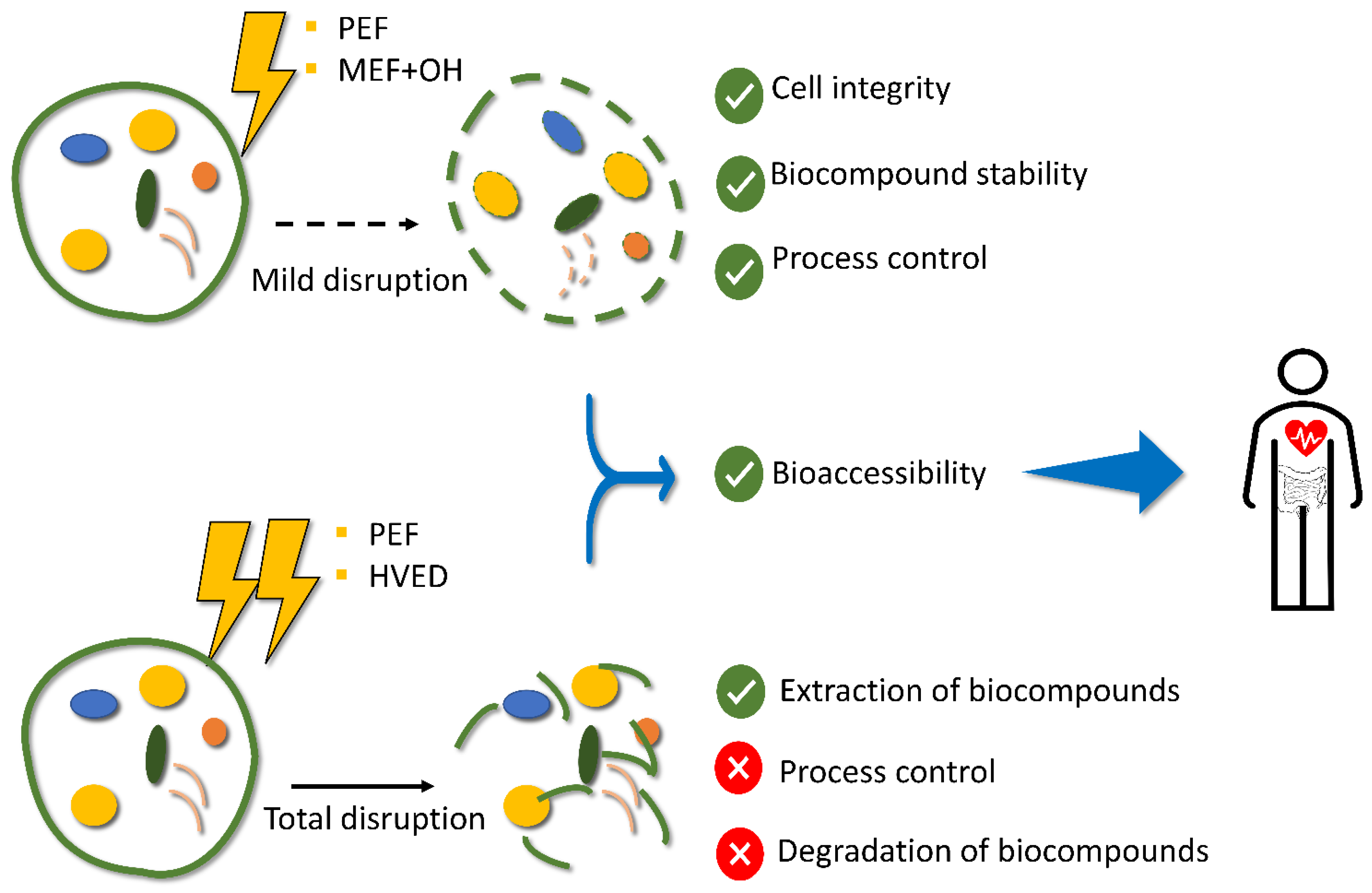 Biomass 02 00006 g003
