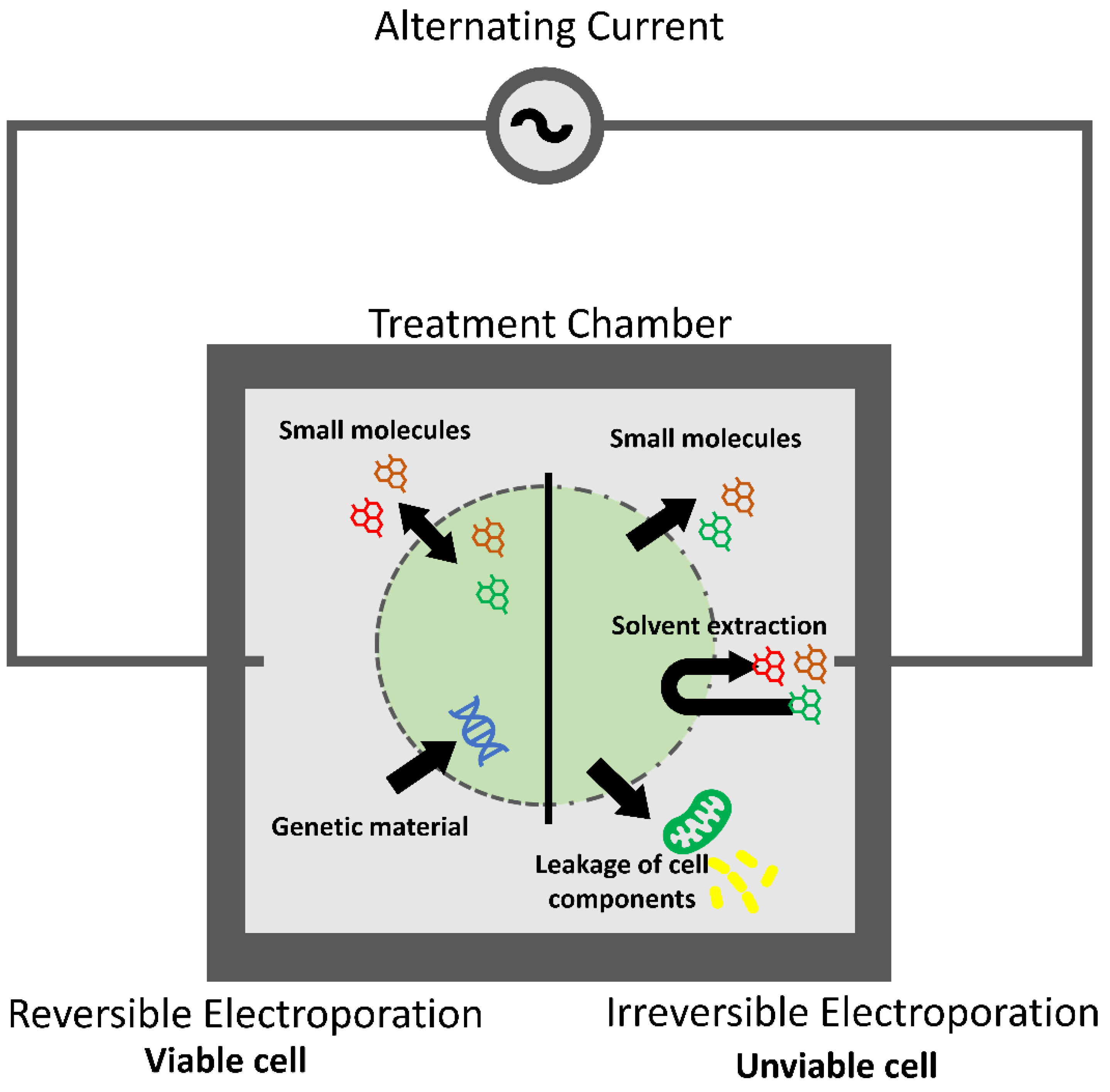 Biomass 02 00006 g004