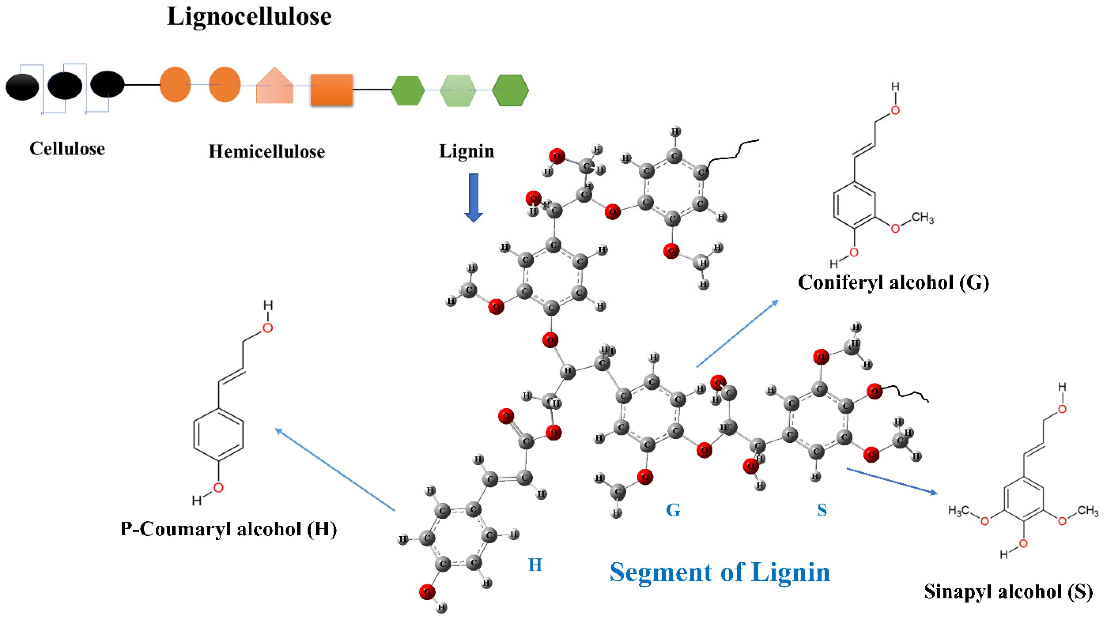 Biomass | Free Full-Text | Recent Advances in Lignin Depolymerization  Techniques: A Comparative Overview of Traditional and Greener Approaches