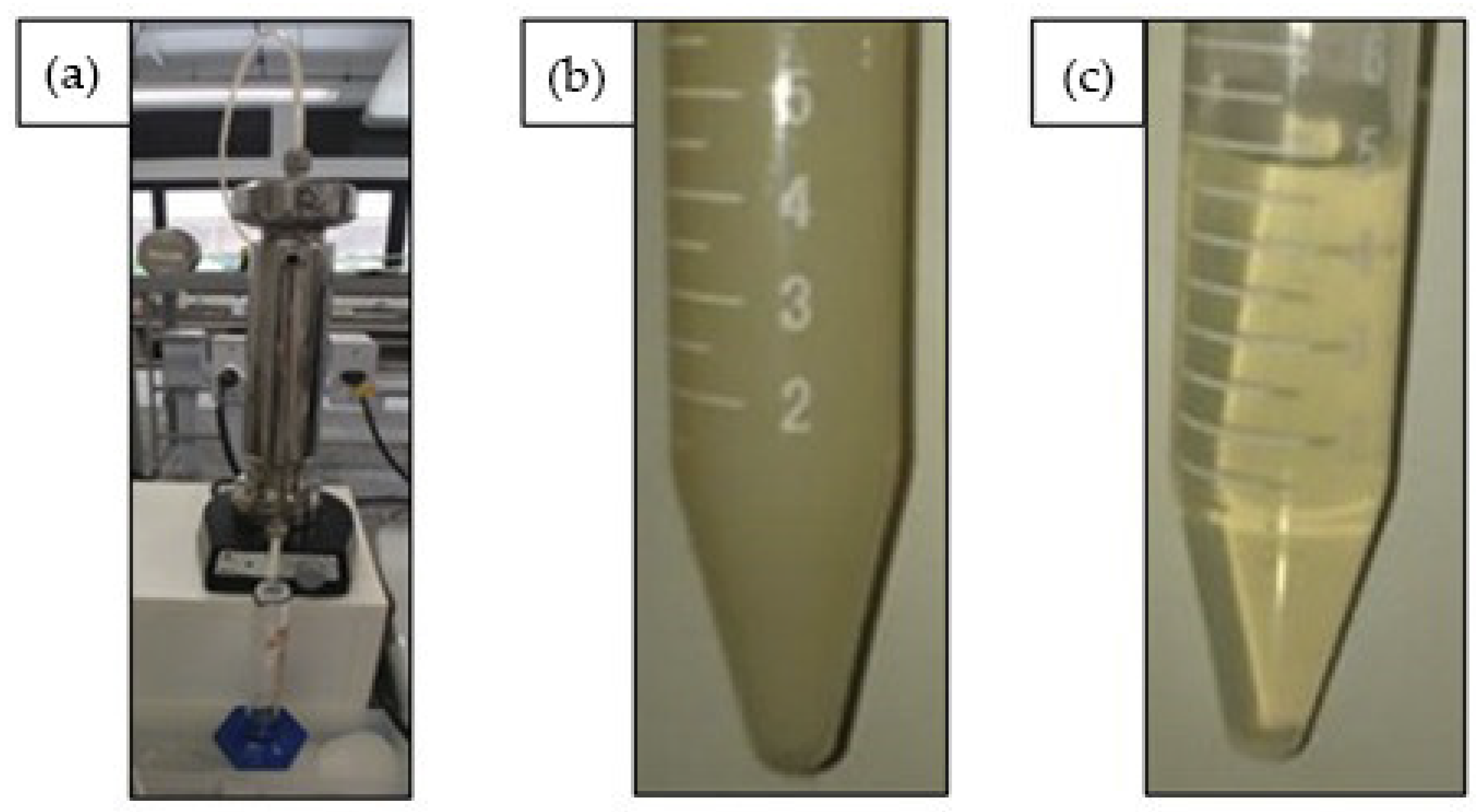 Biomass 02 00016 g004 Biomass 02 00016 g004