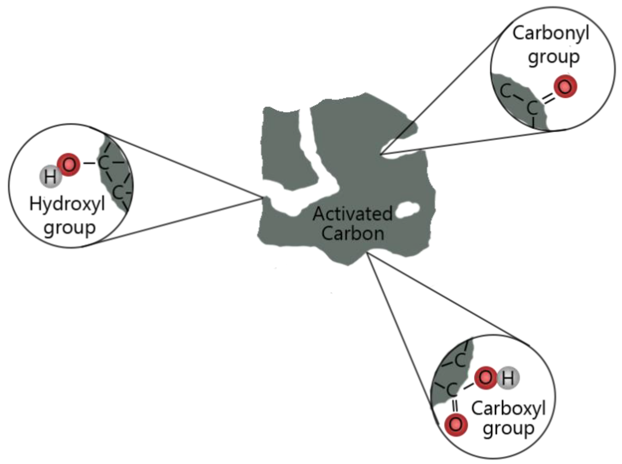 Biomass 03 00003 g006