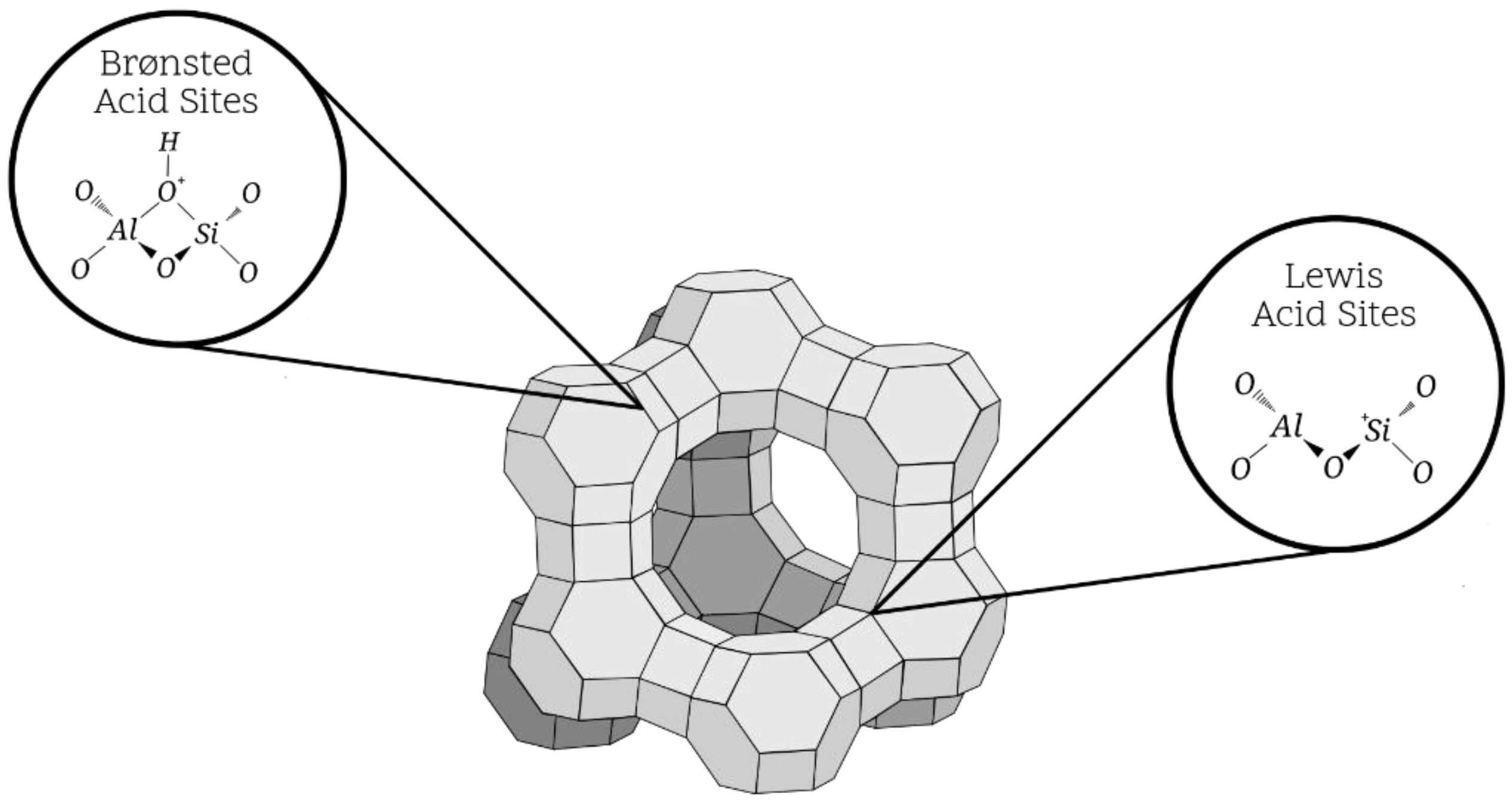 Biomass 03 00003 g007