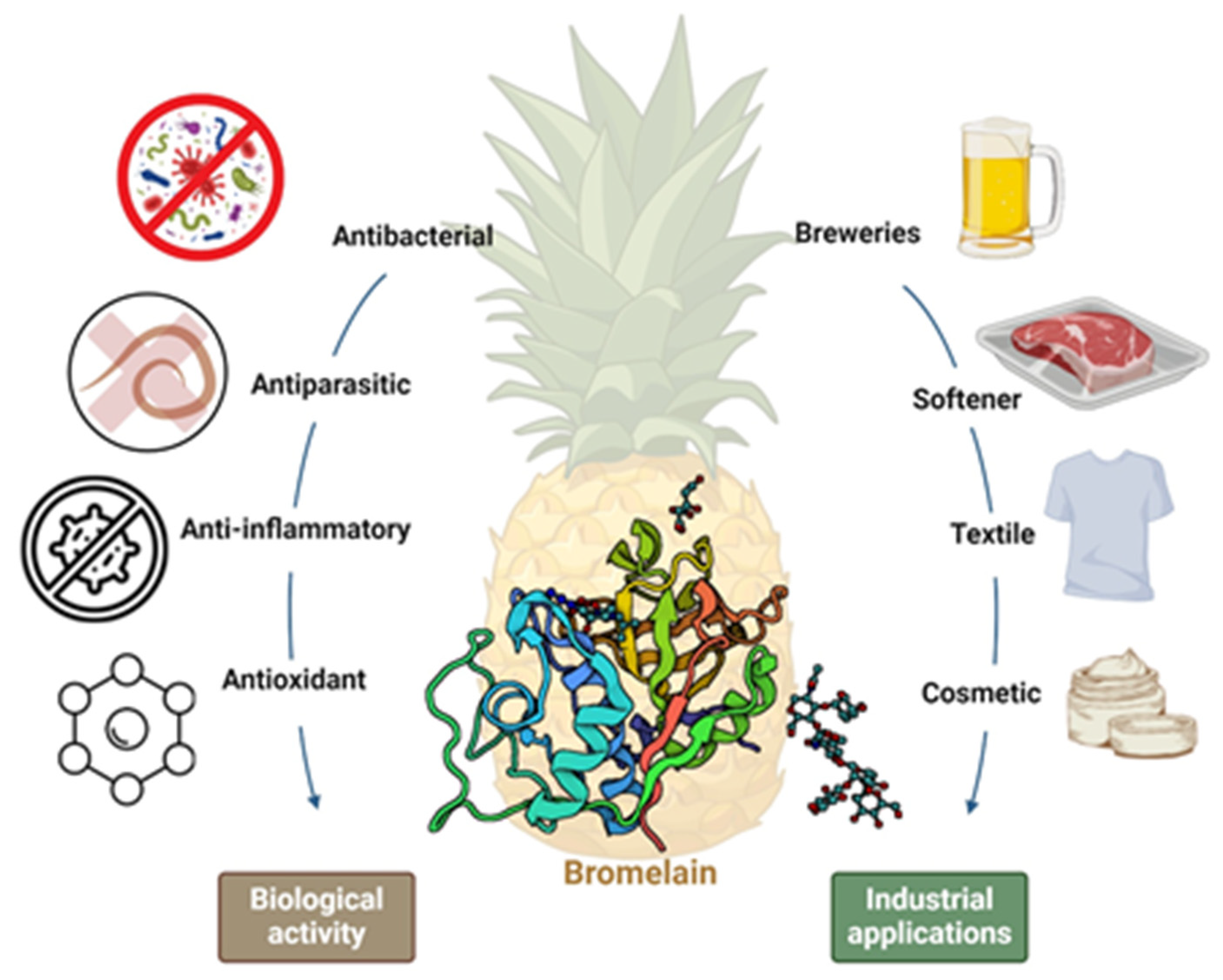 Biomass 04 00011 g002