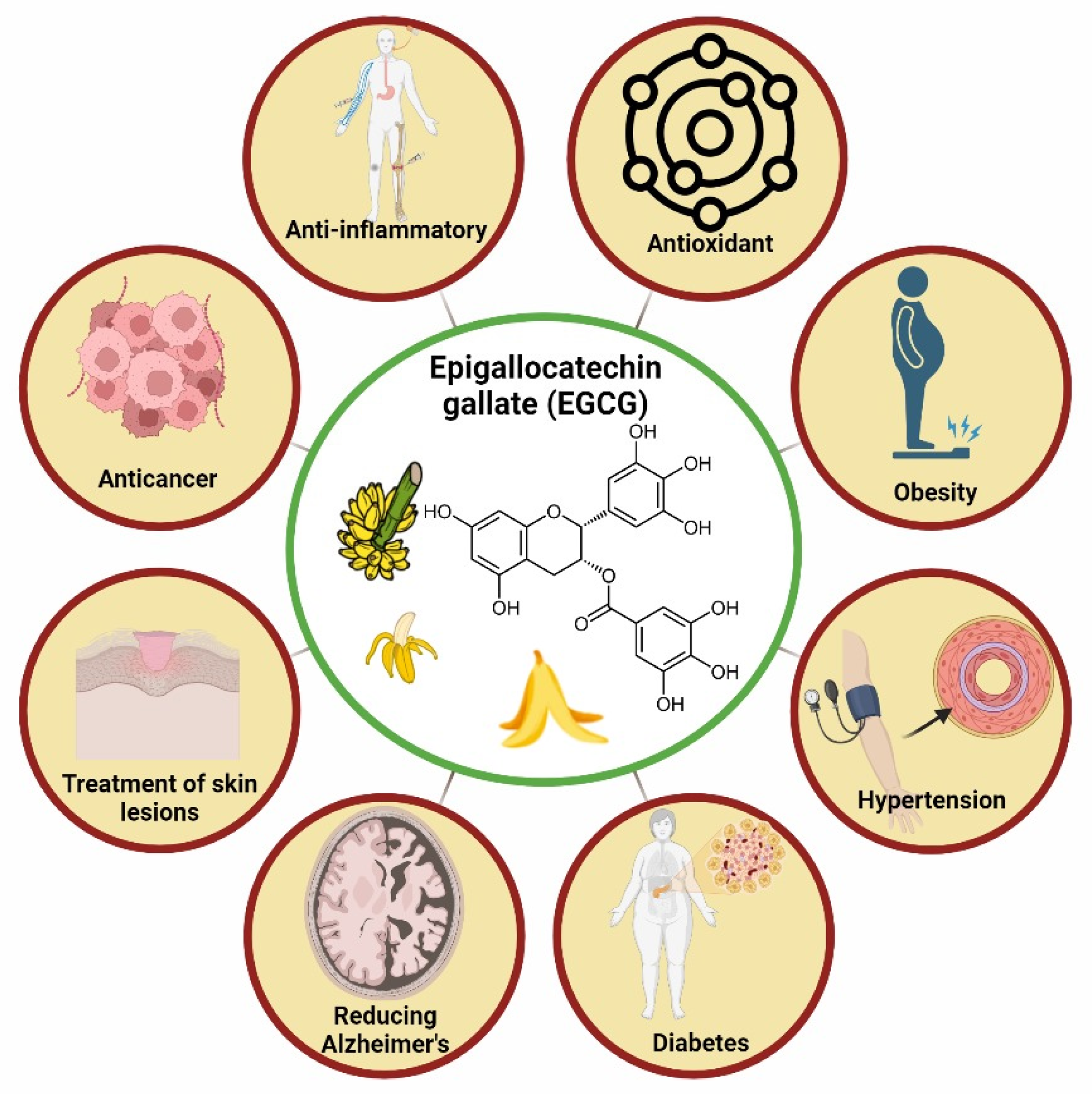 Biomass 04 00011 g003
