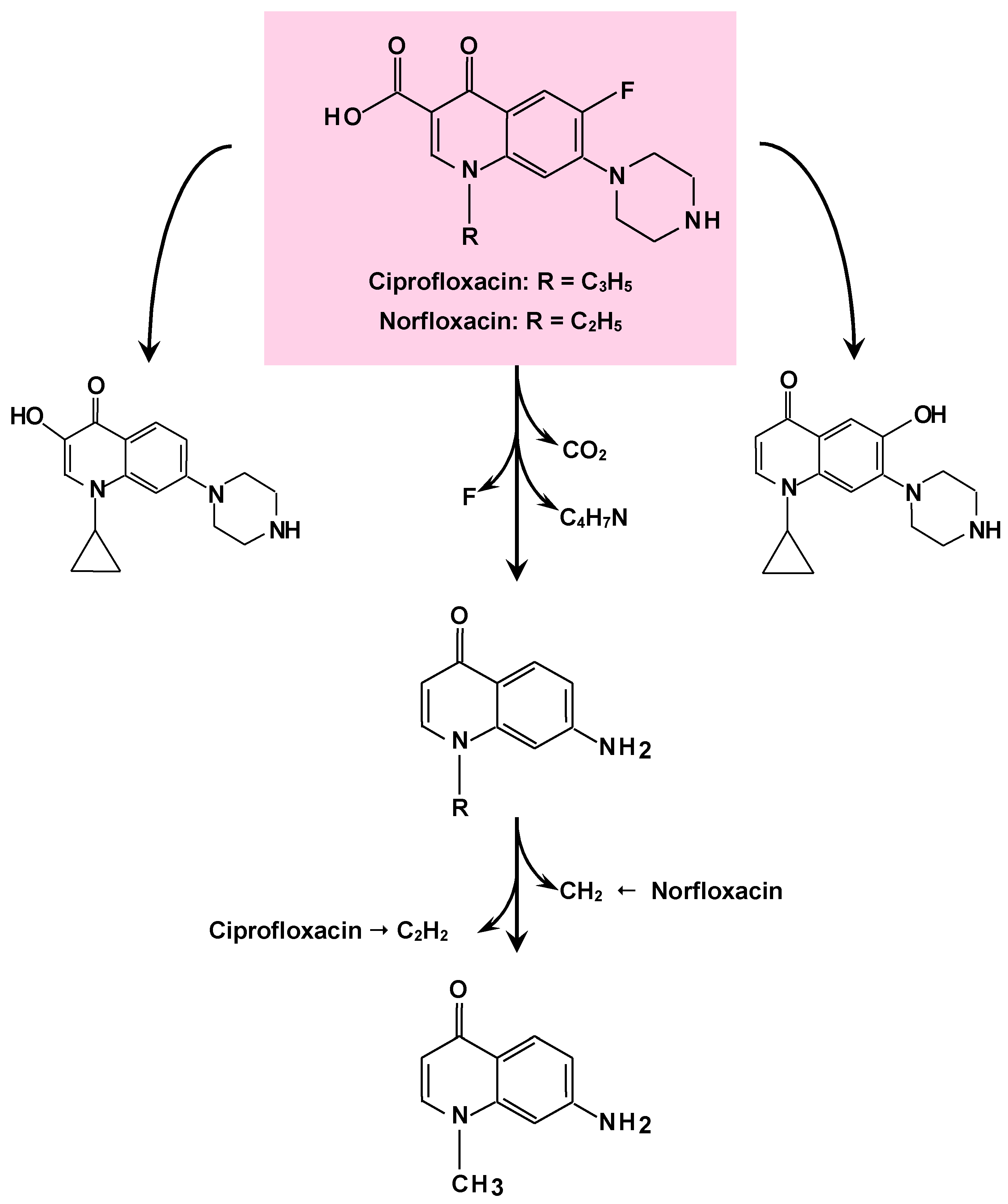 Biomass 04 00015 g003