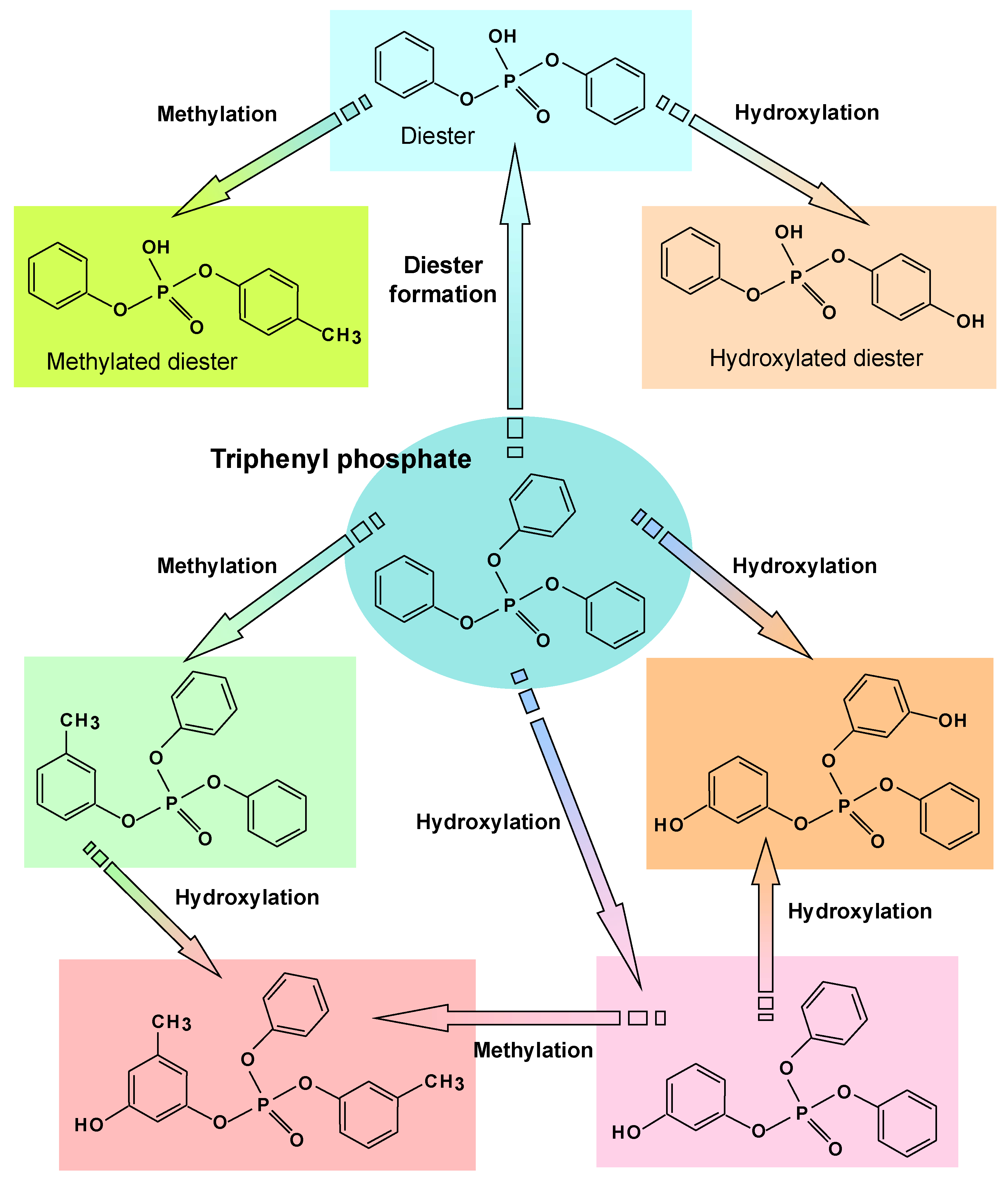 Biomass 04 00015 g005