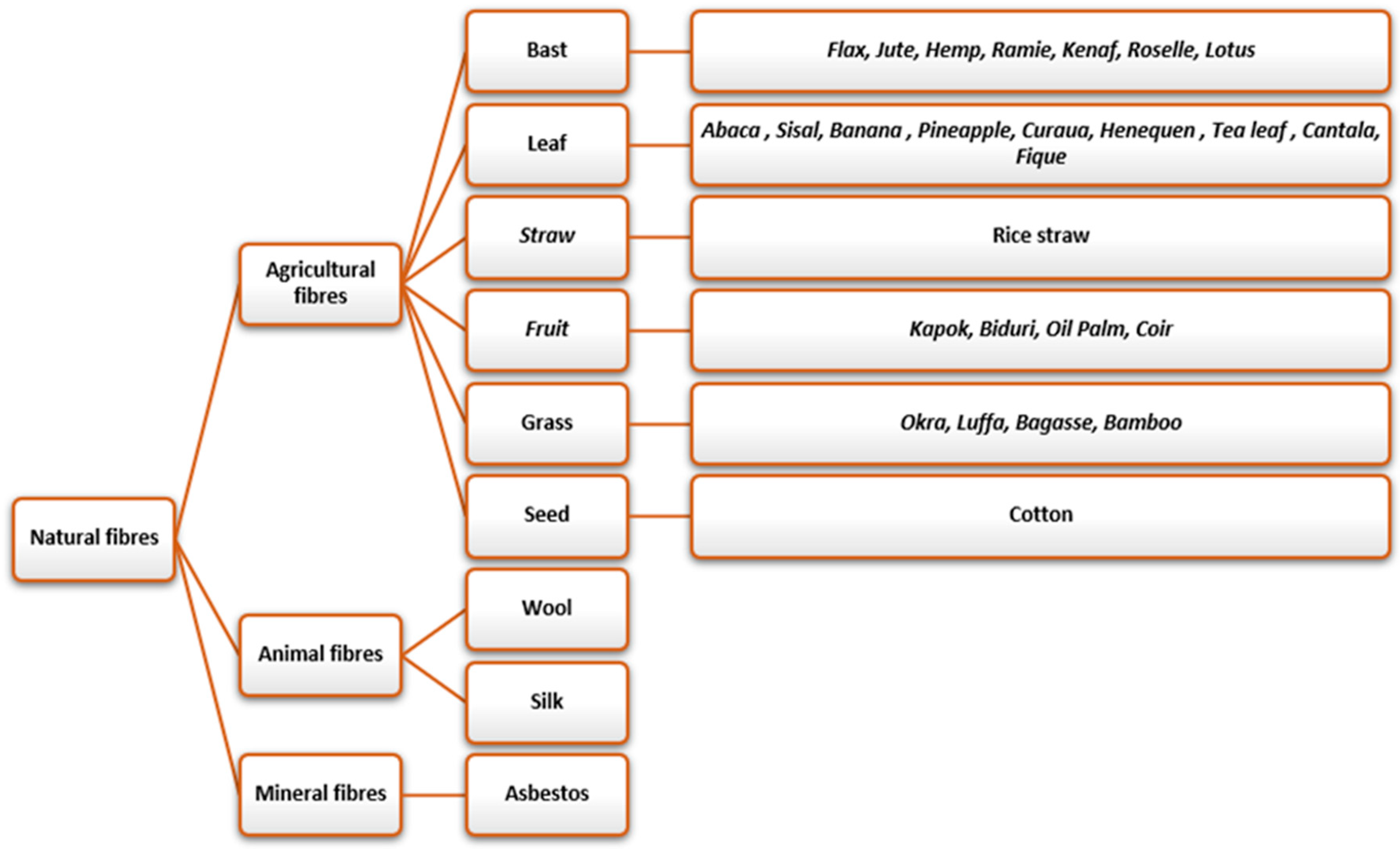 Biomass 04 00018 g003 Biomass 04 00018 g003