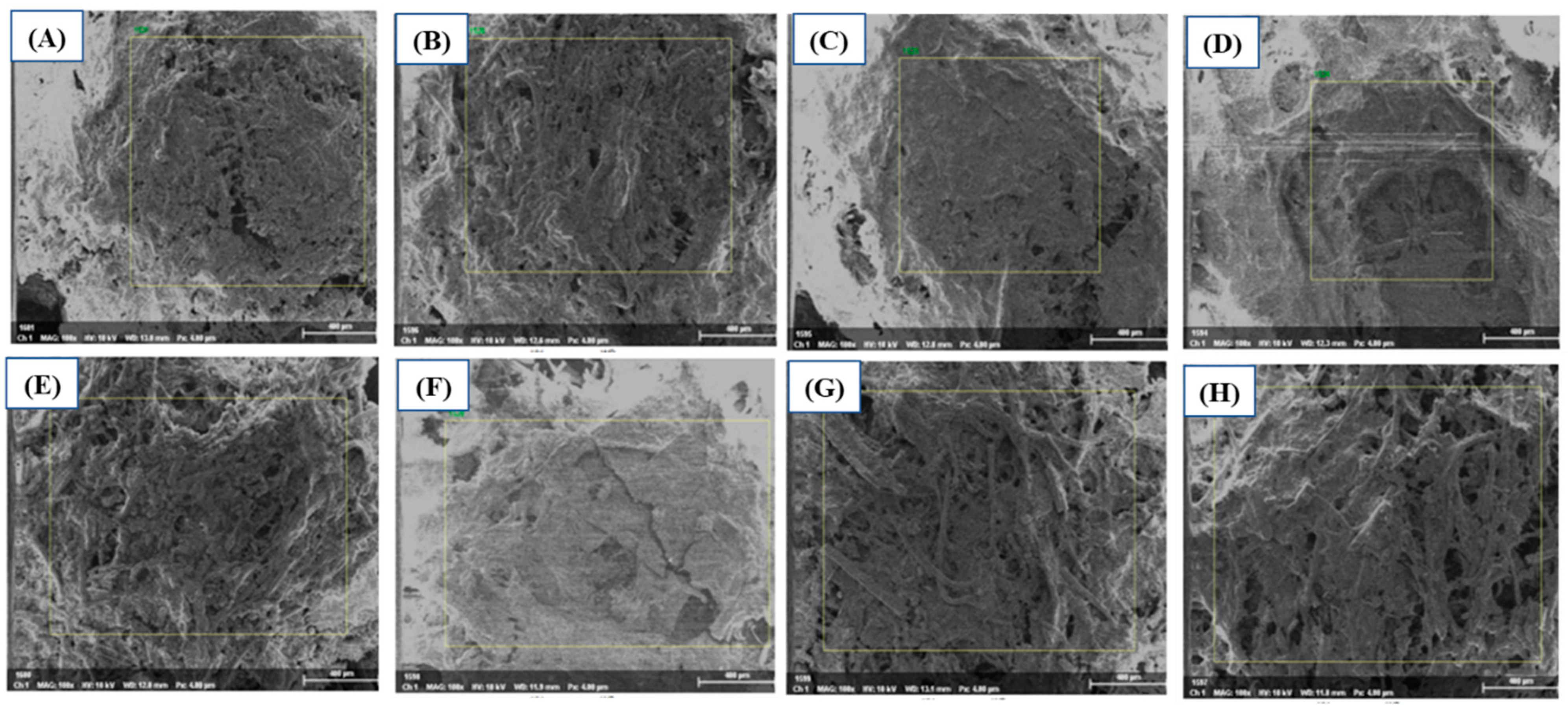 Biomass 04 00020 g004 Biomass 04 00020 g004
