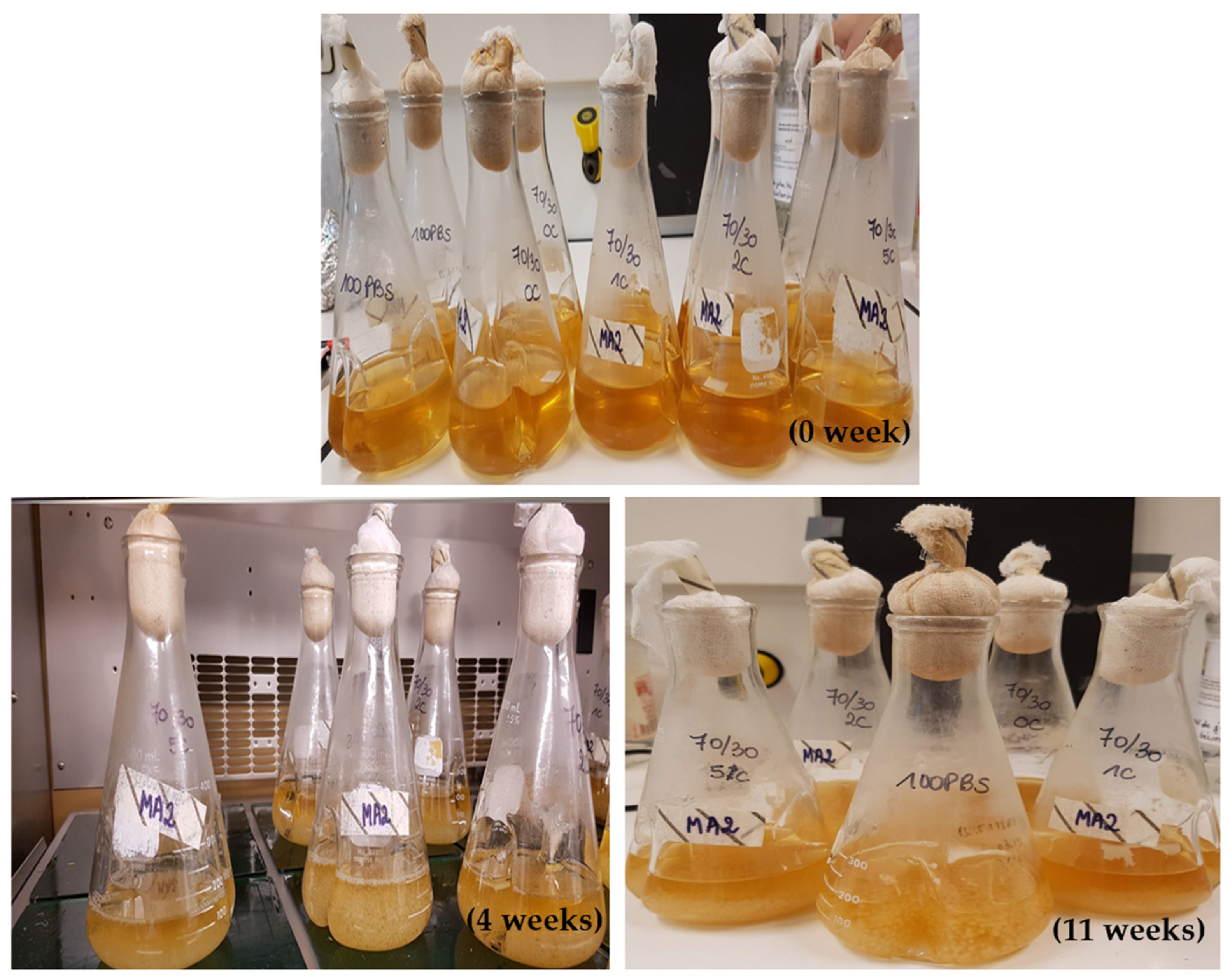 Biomass 04 00036 g002