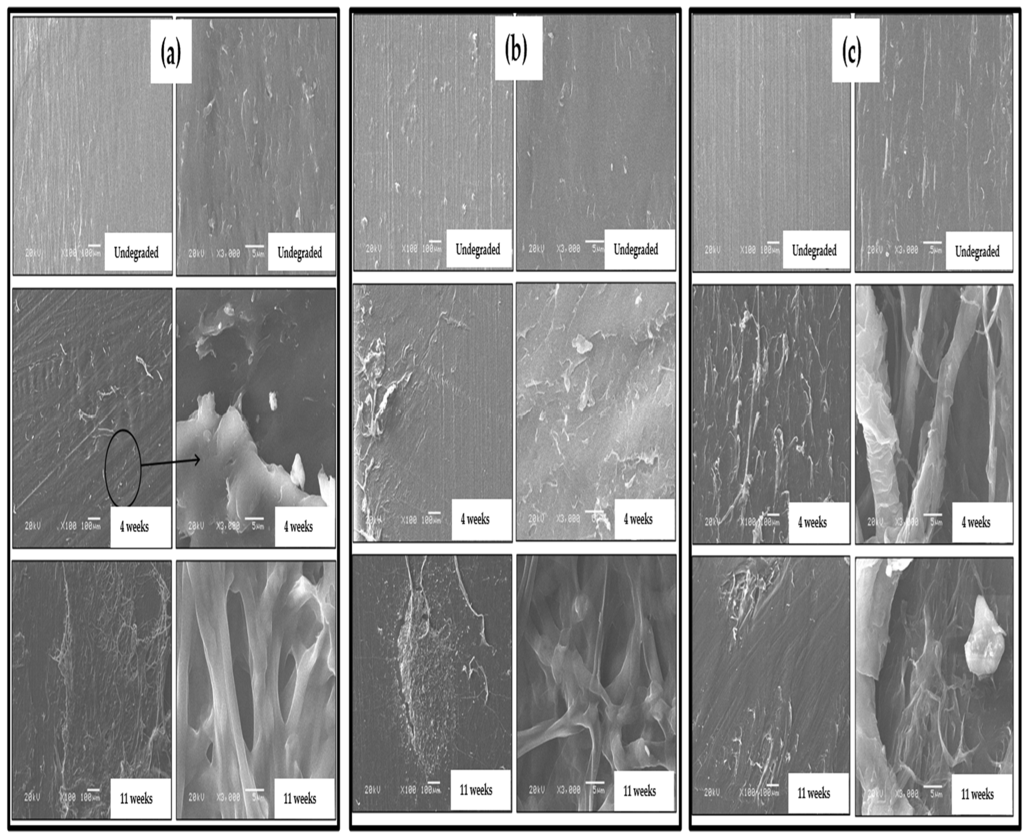 Biomass 04 00036 g005a