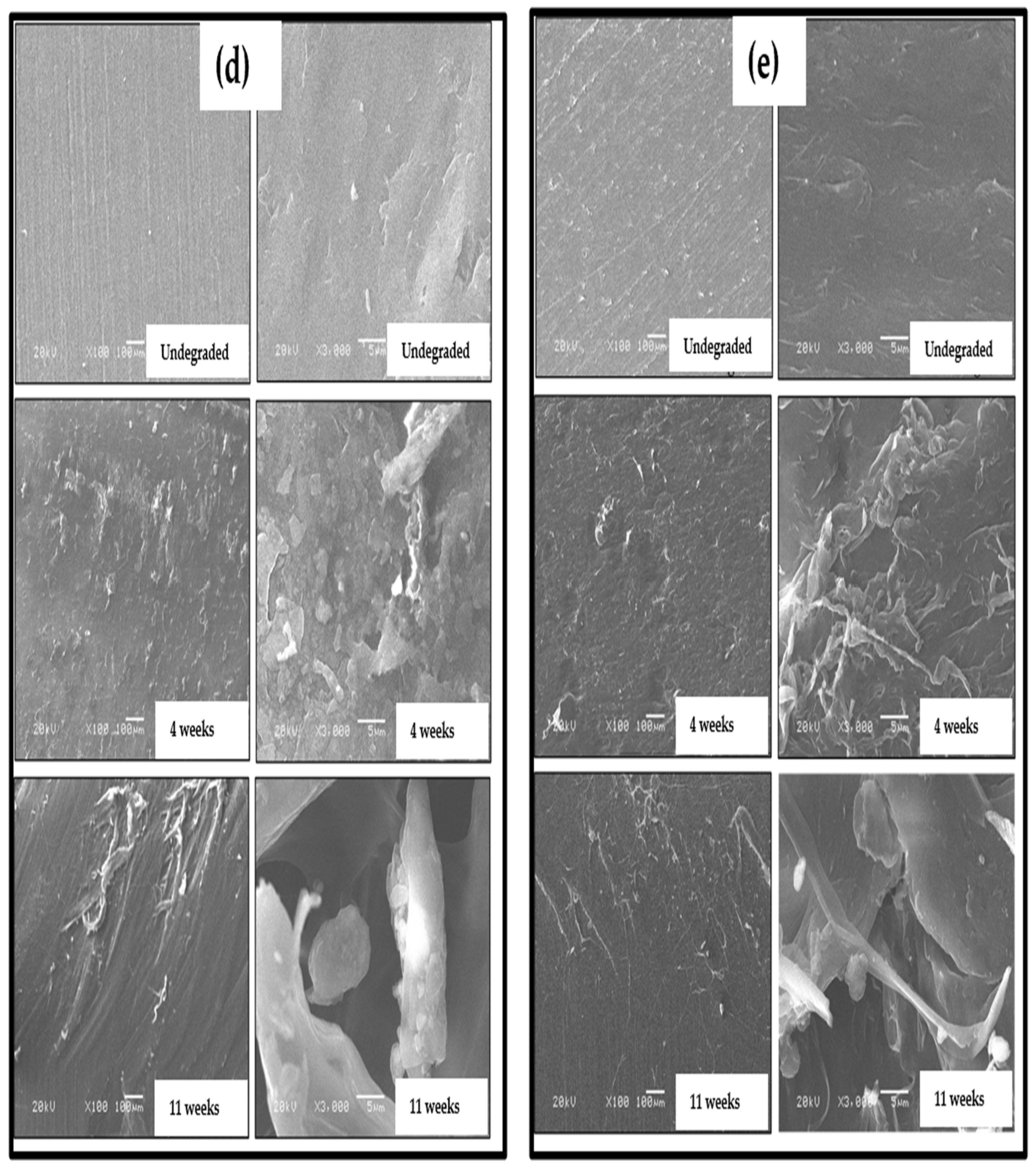 Biomass 04 00036 g005b