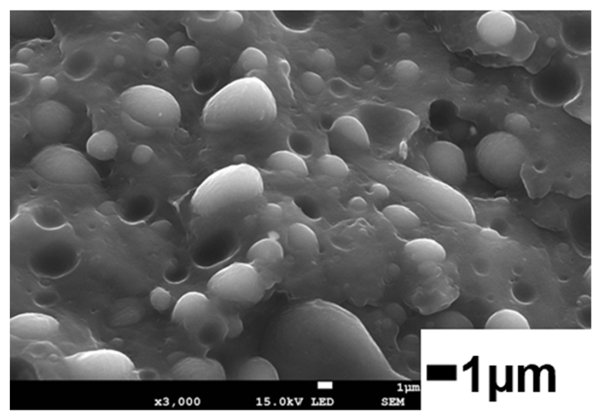 Biomass 04 00036 g007