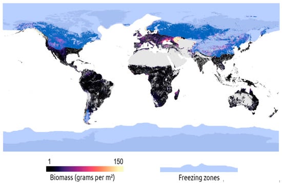 Biomass | Free Full-Text | Can Foraging for Earthworms Significantly ...