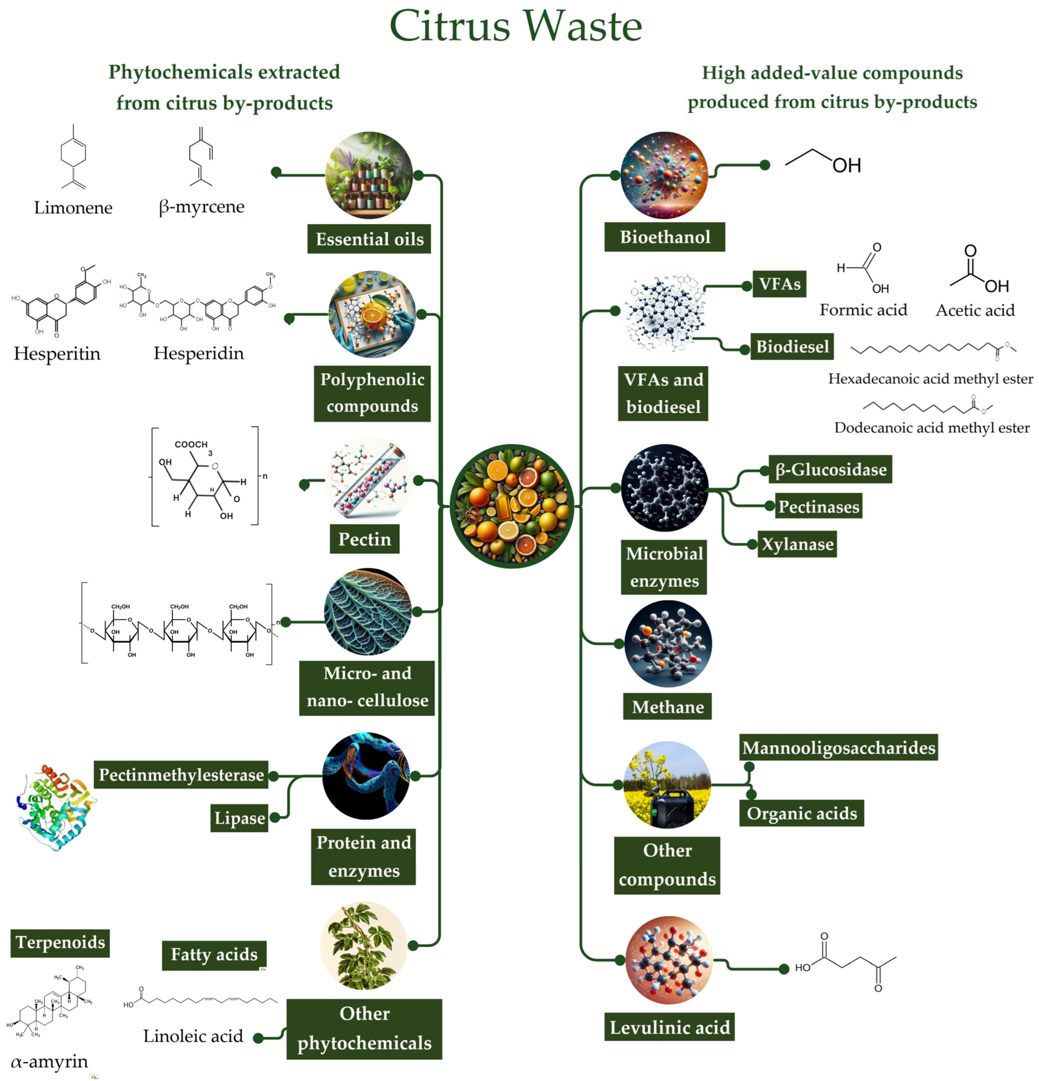 Biomass 04 00044 g001