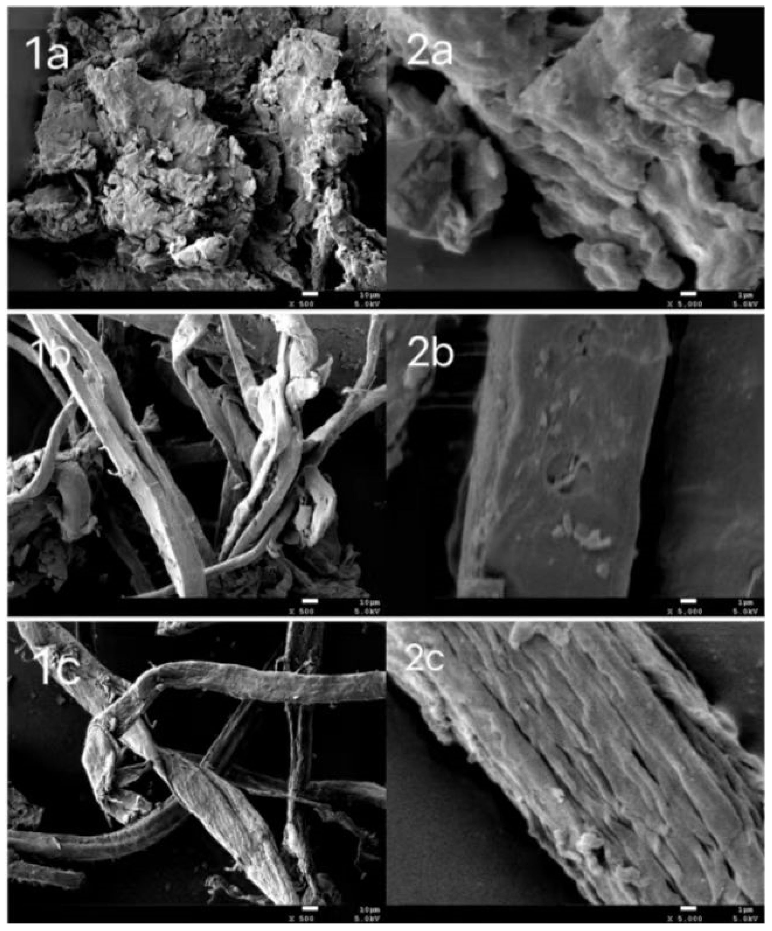 Biomass 04 00049 g006