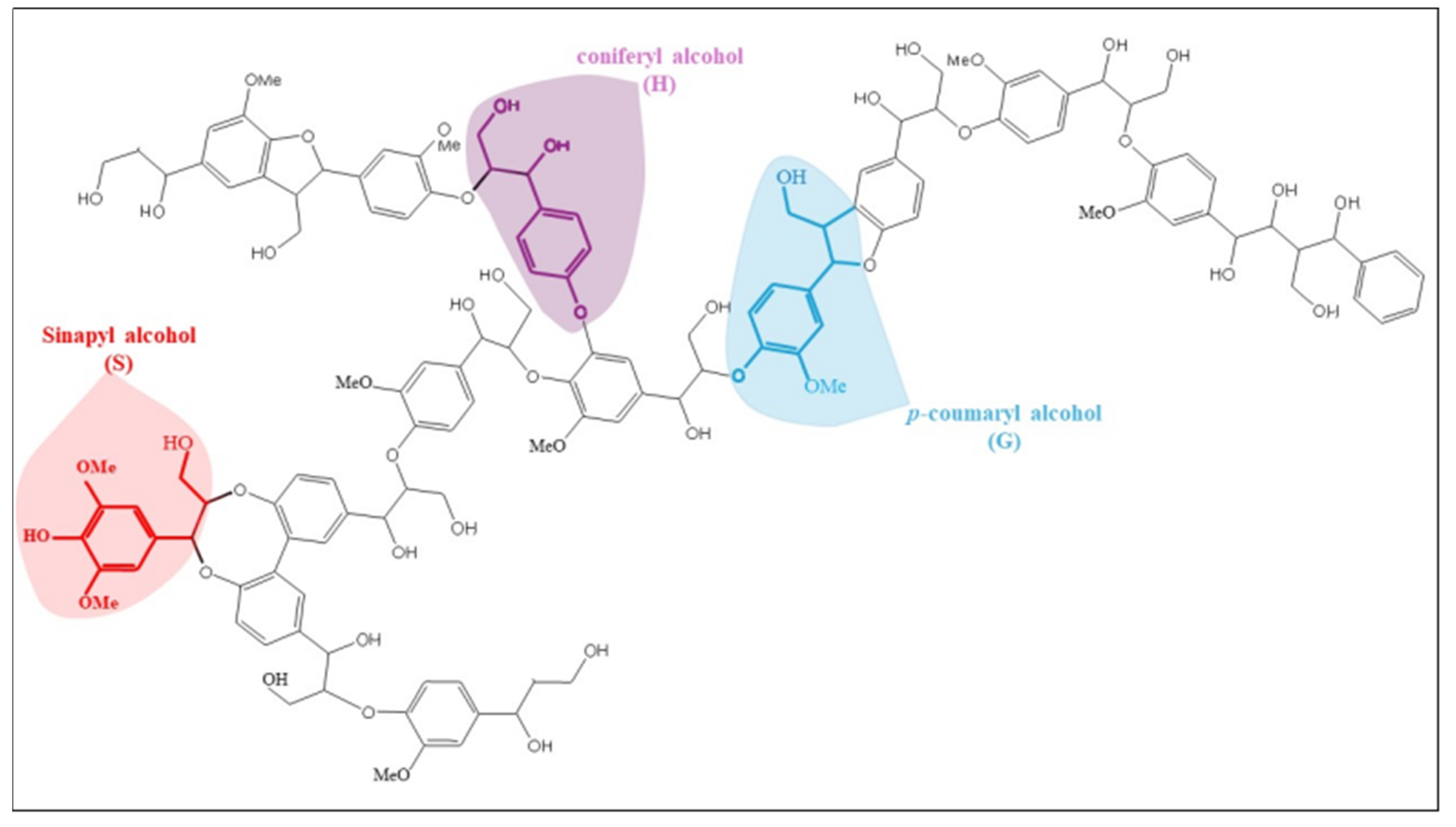 Biomass 04 00053 g002