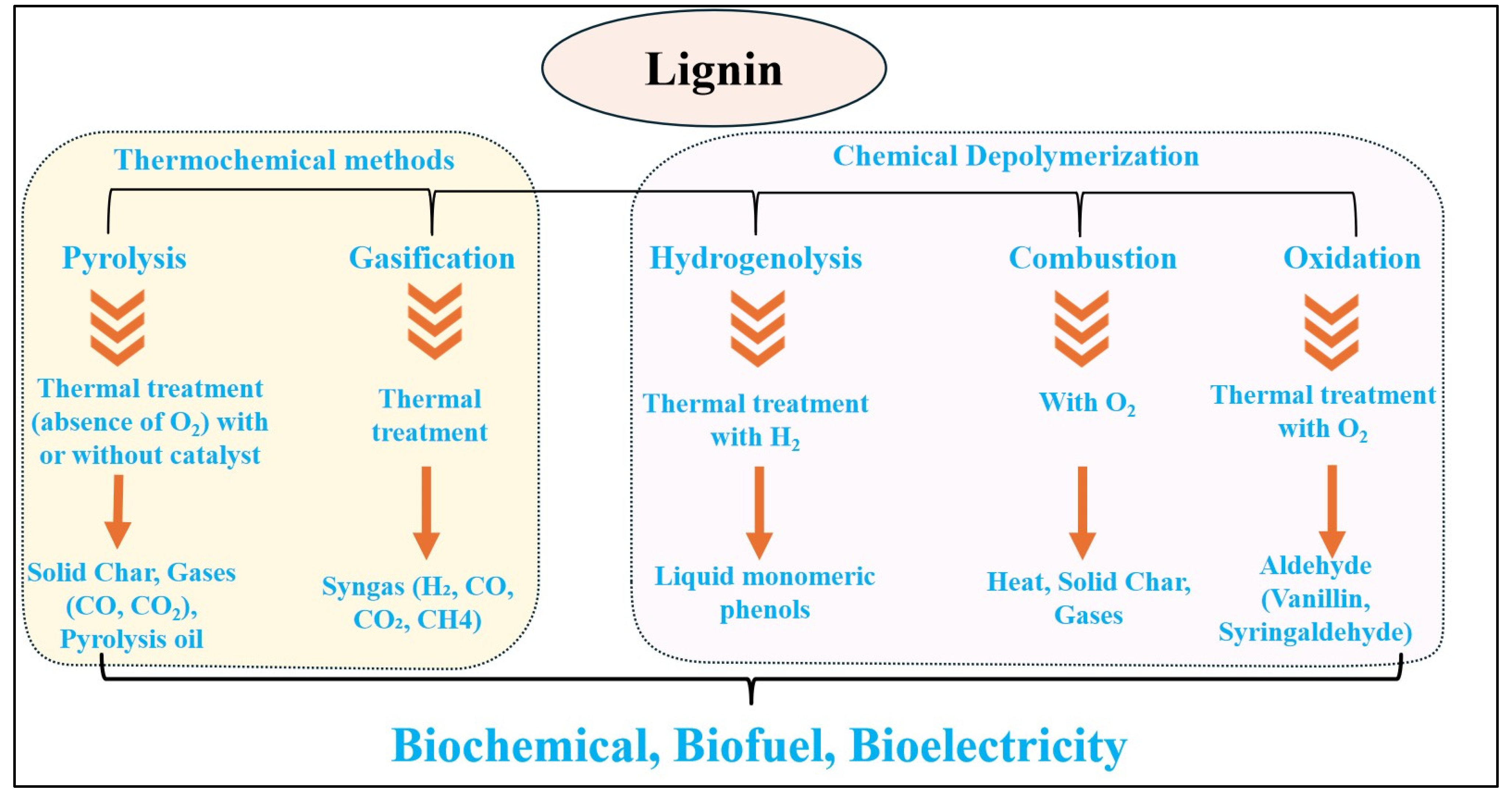 Biomass 04 00053 g005