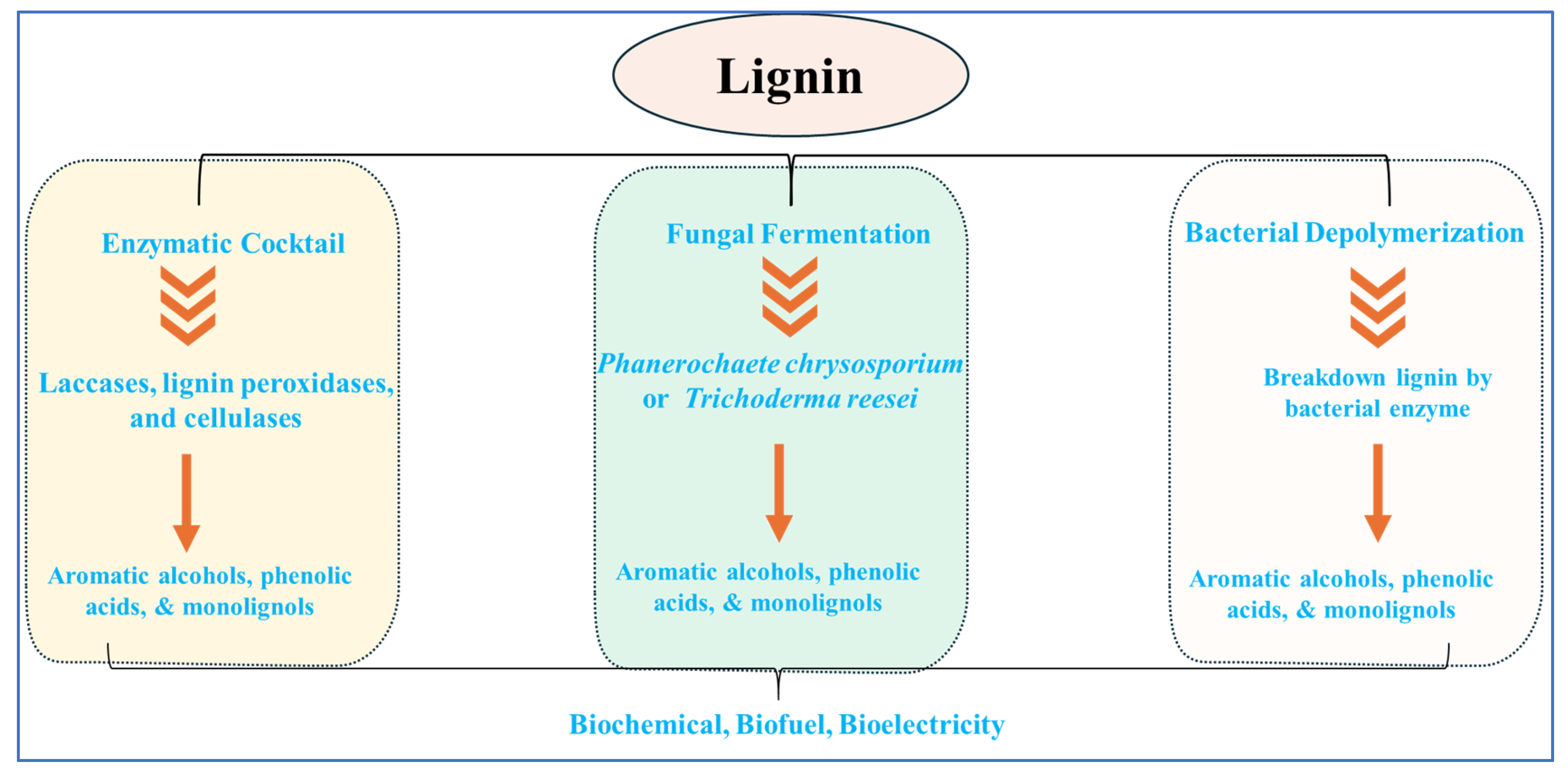 Biomass 04 00053 g007