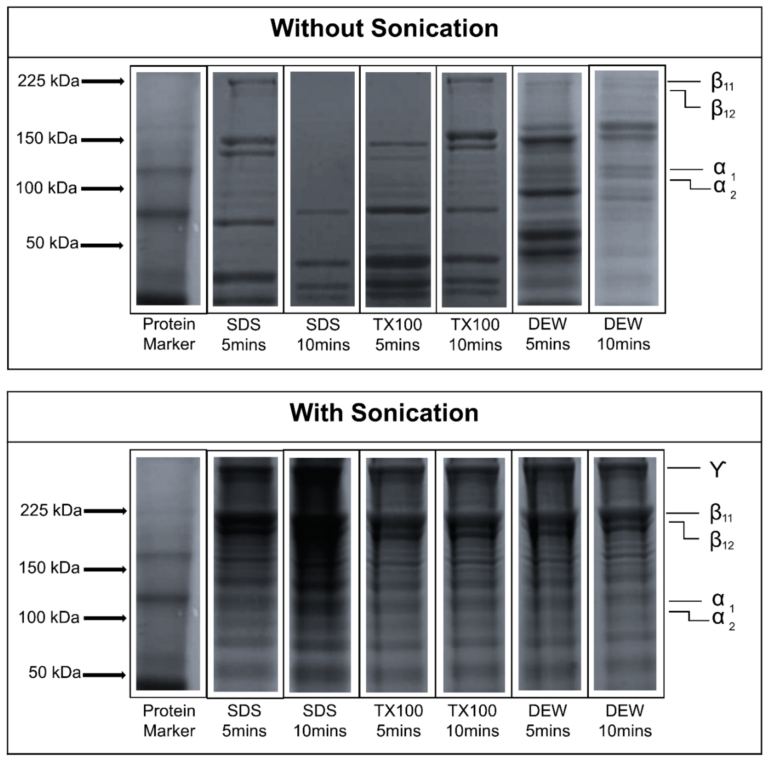 Biomass 04 00060 g005 Biomass 04 00060 g005