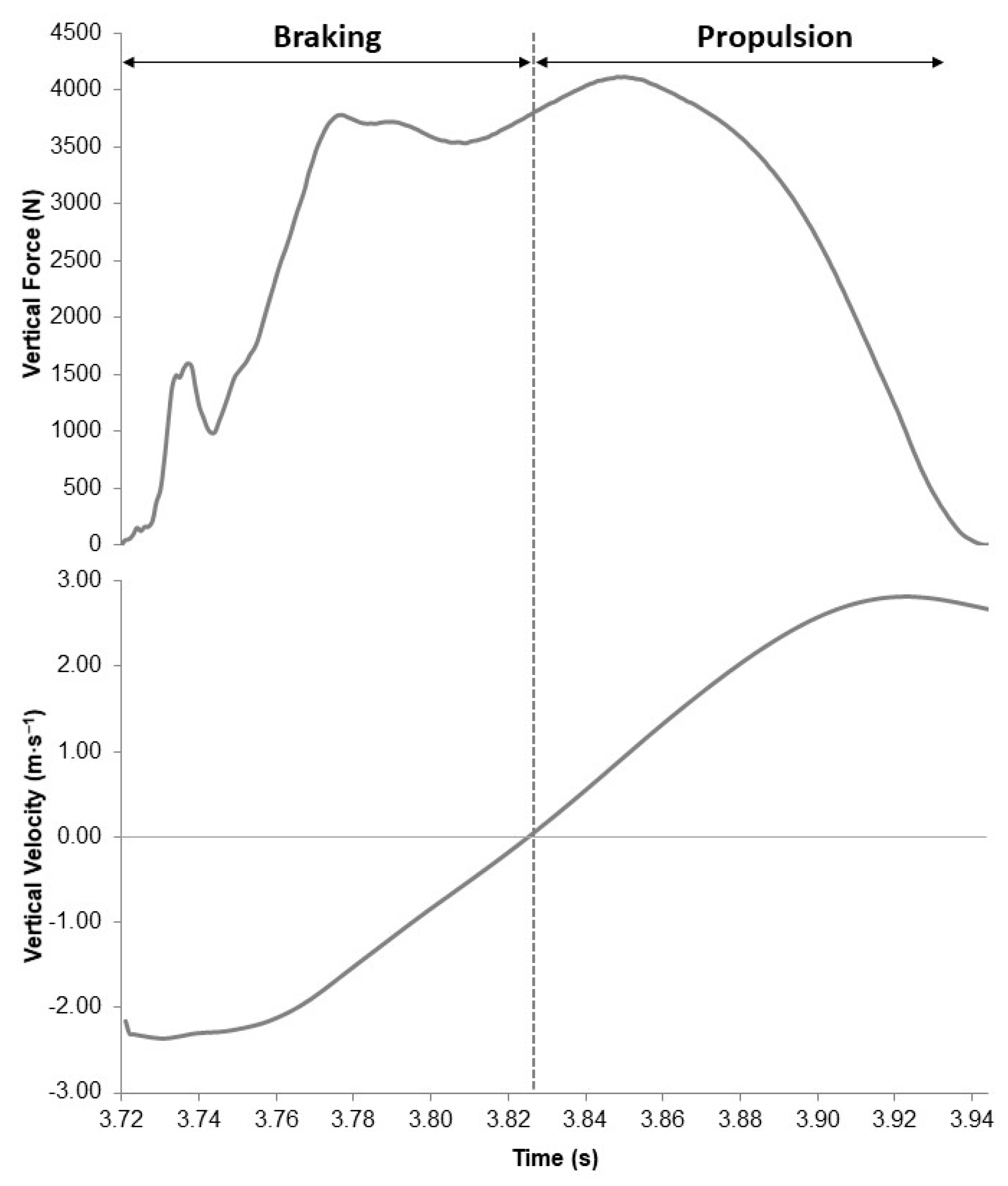 Biomechanics 01 00015 g005
