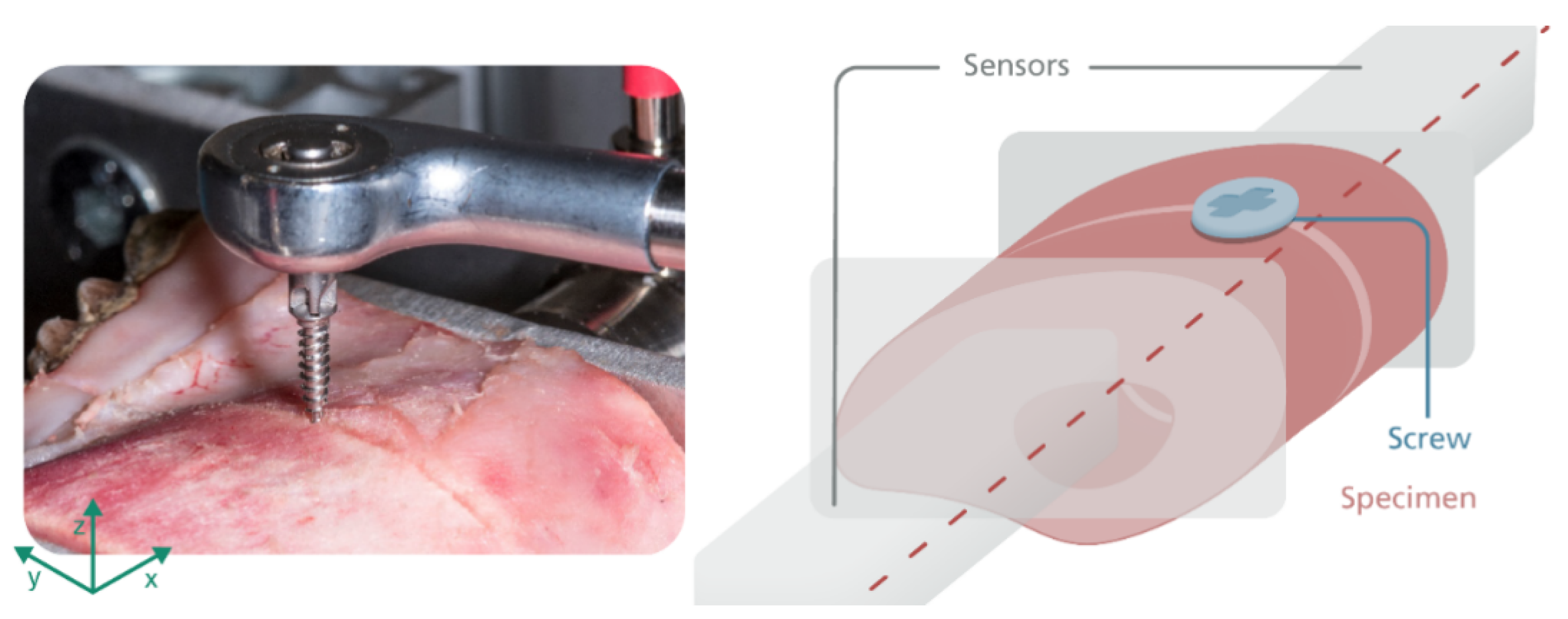 Biomechanics 01 00020 g004
