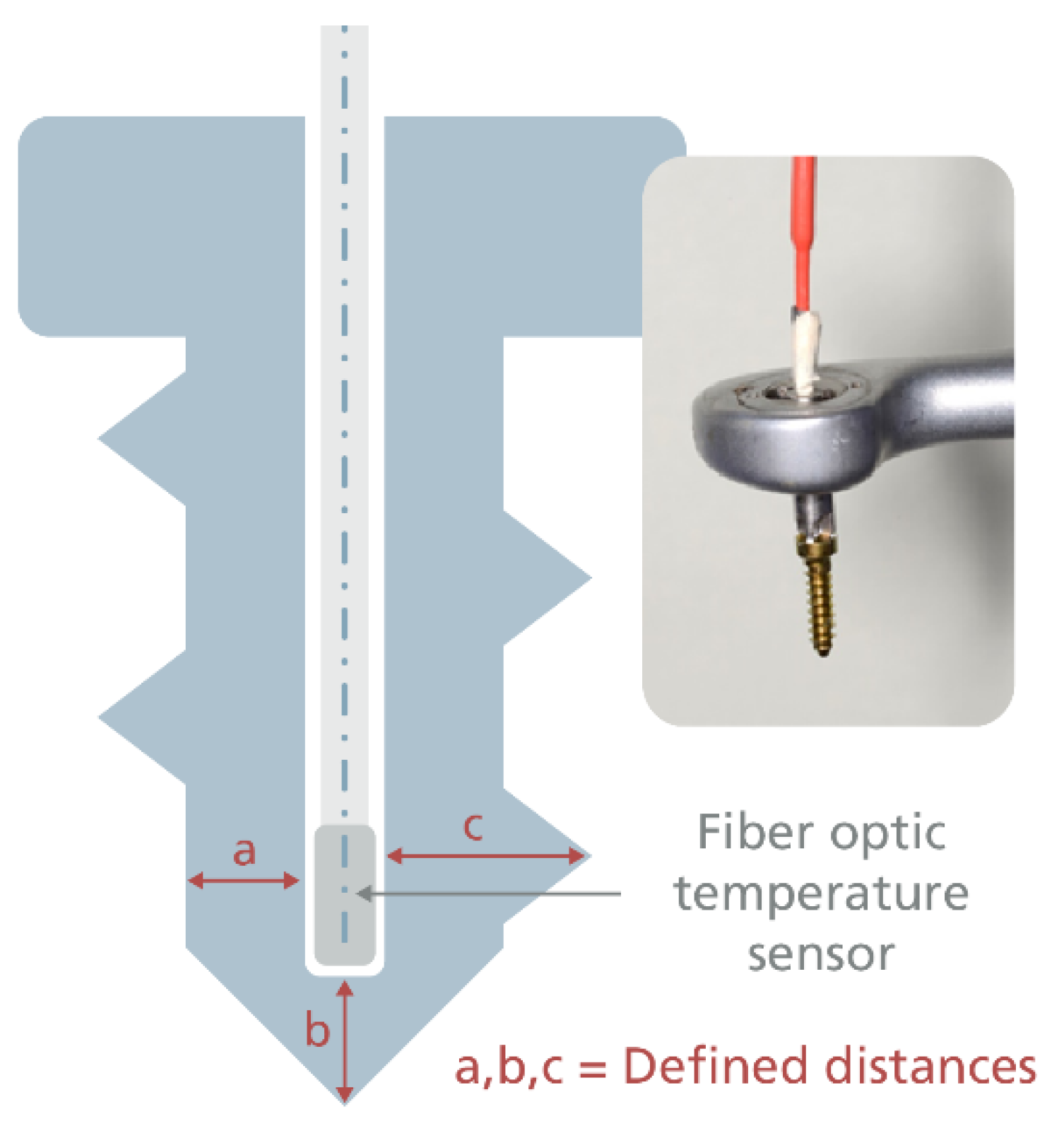 Biomechanics 01 00020 g006
