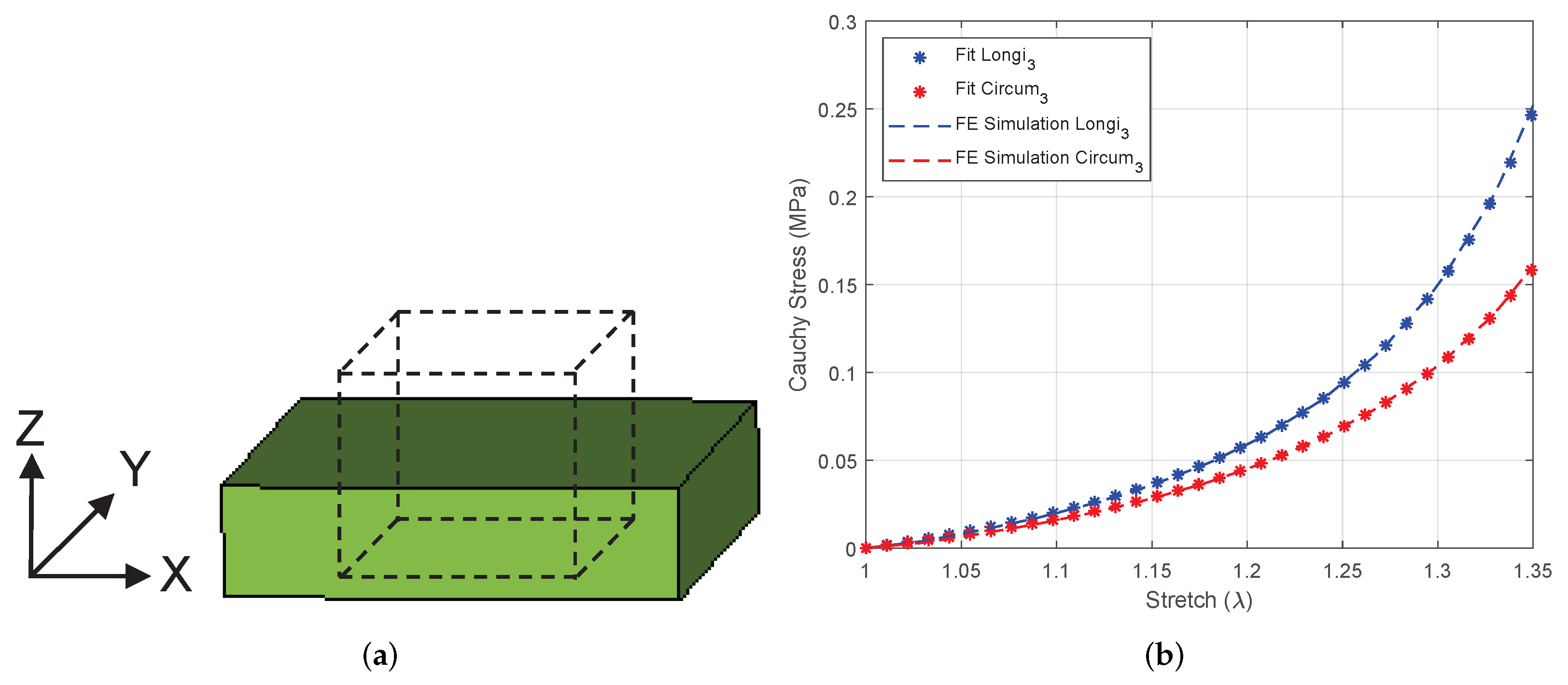 Biomechanics 02 00013 g006