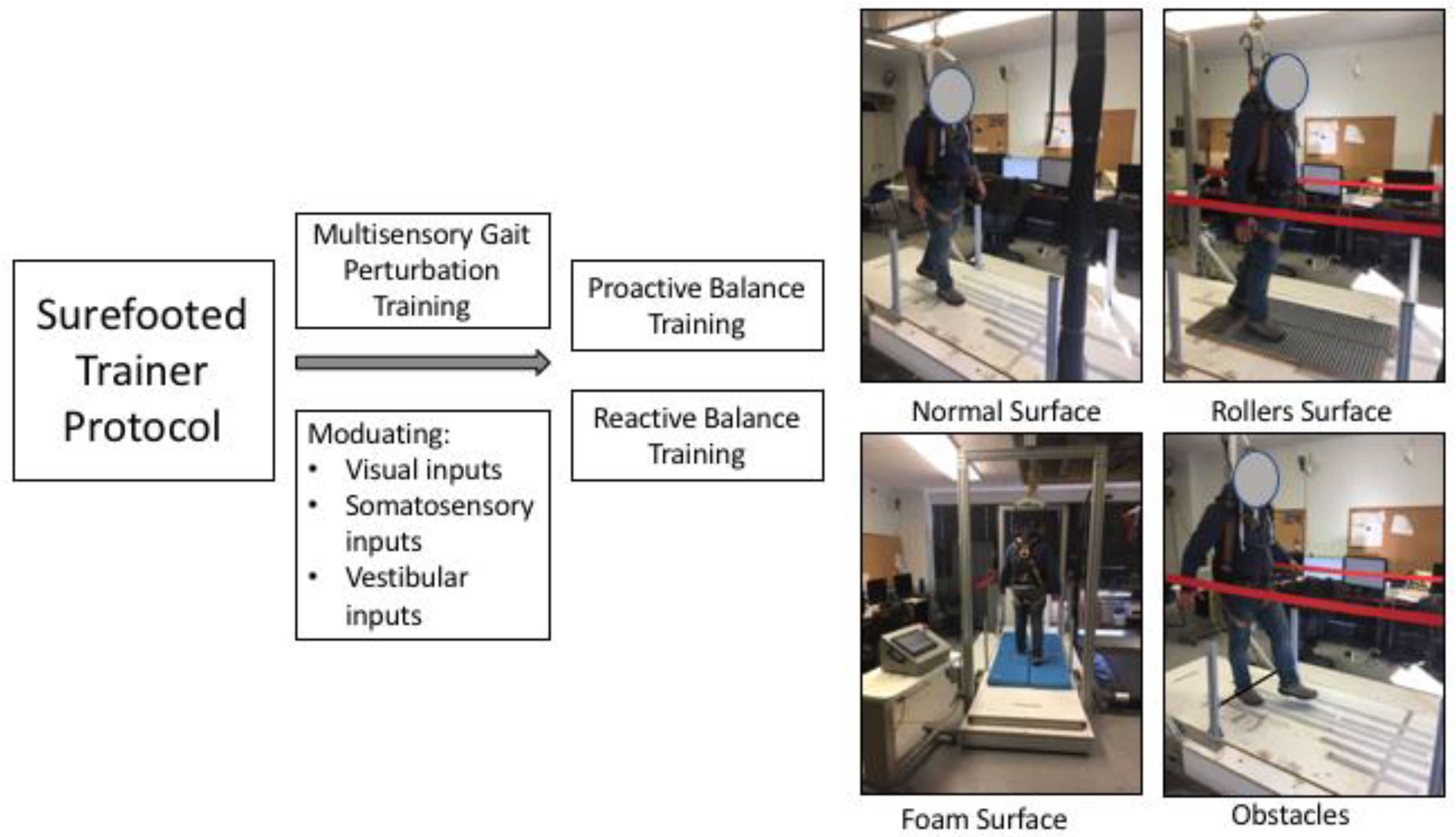 PDF) A perturbation-based balance training program for older adults: Study  protocol for a randomised controlled trial