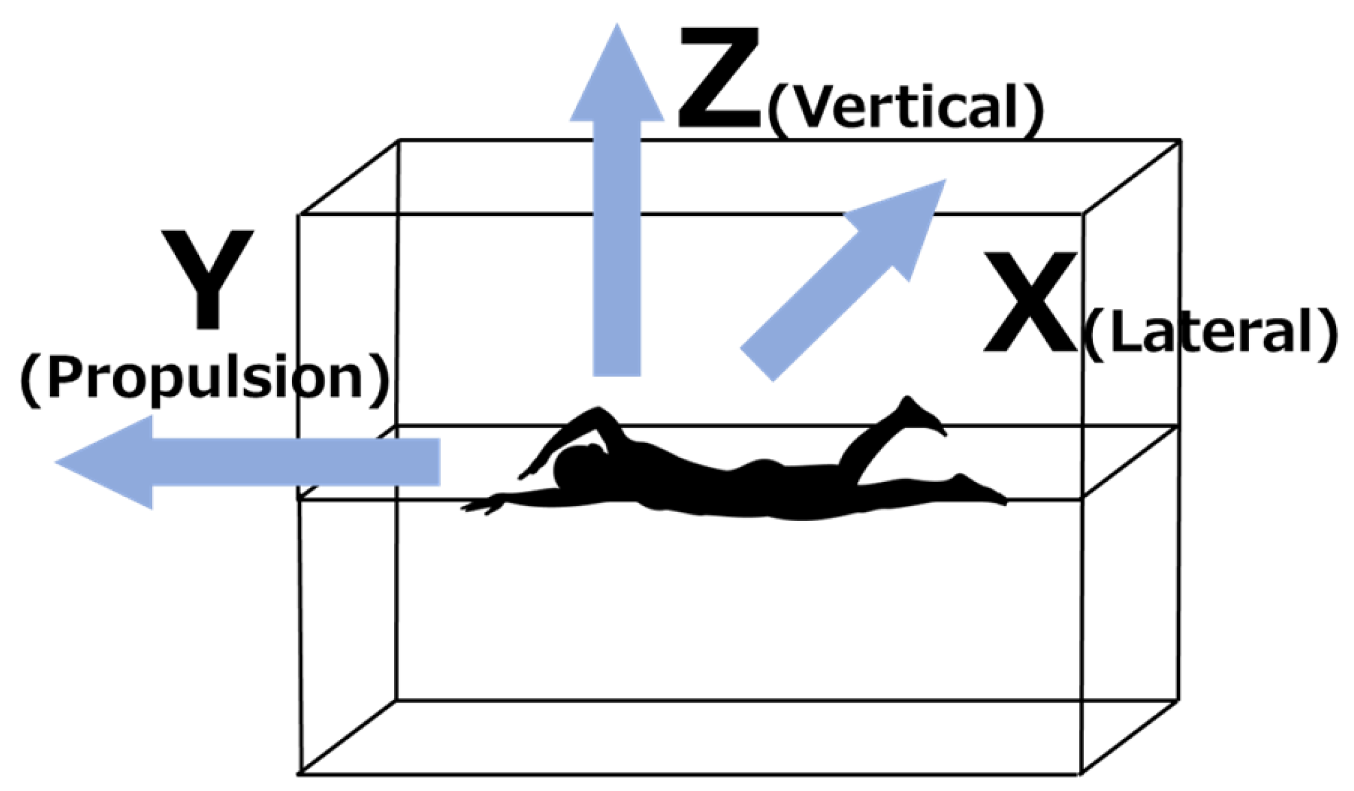 Biomechanics 03 00017 g004 Biomechanics 03 00017 g004