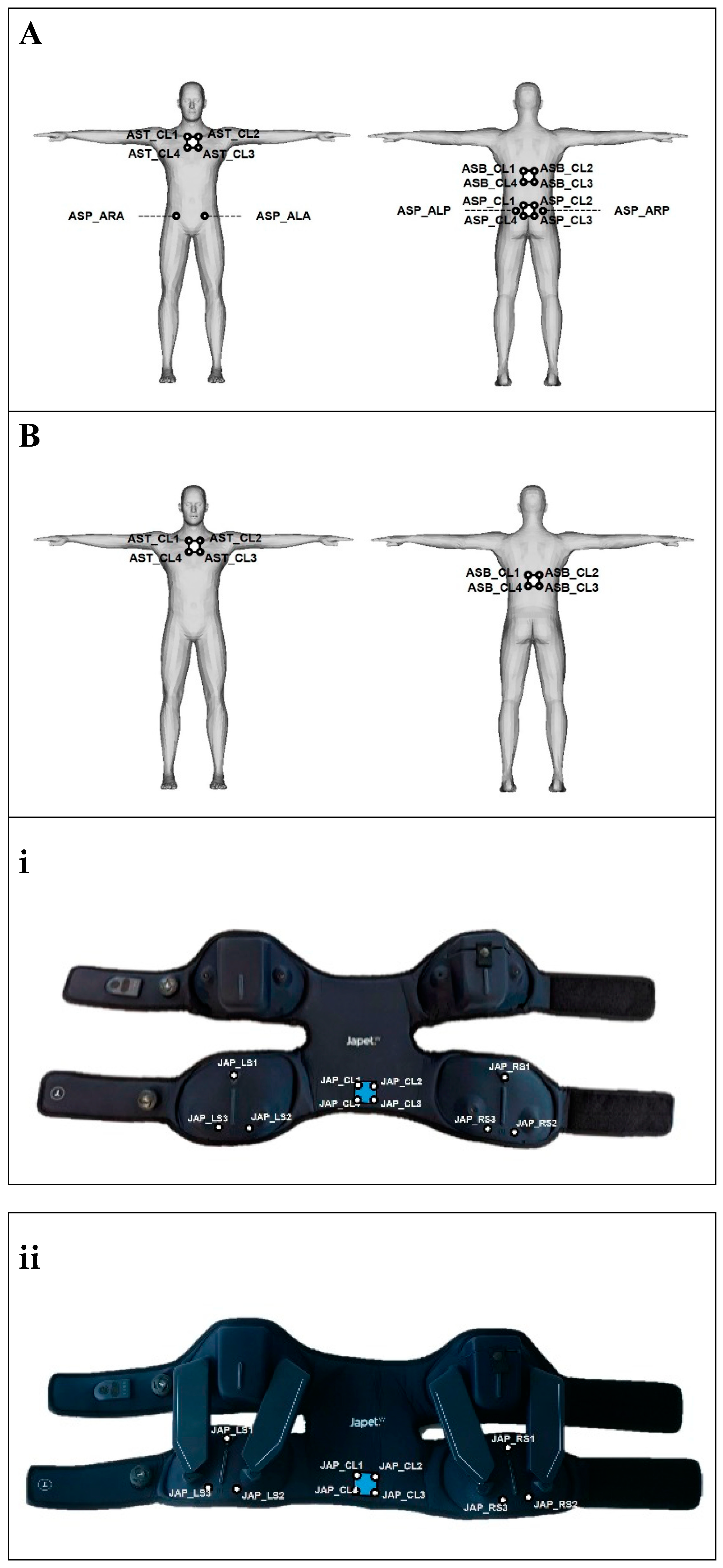 Biomechanics 04 00025 g003