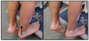 Biomechanics 04 00039 i002