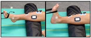 Biomechanics 04 00039 i006