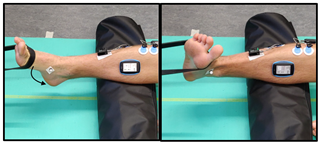 Biomechanics 04 00039 i007