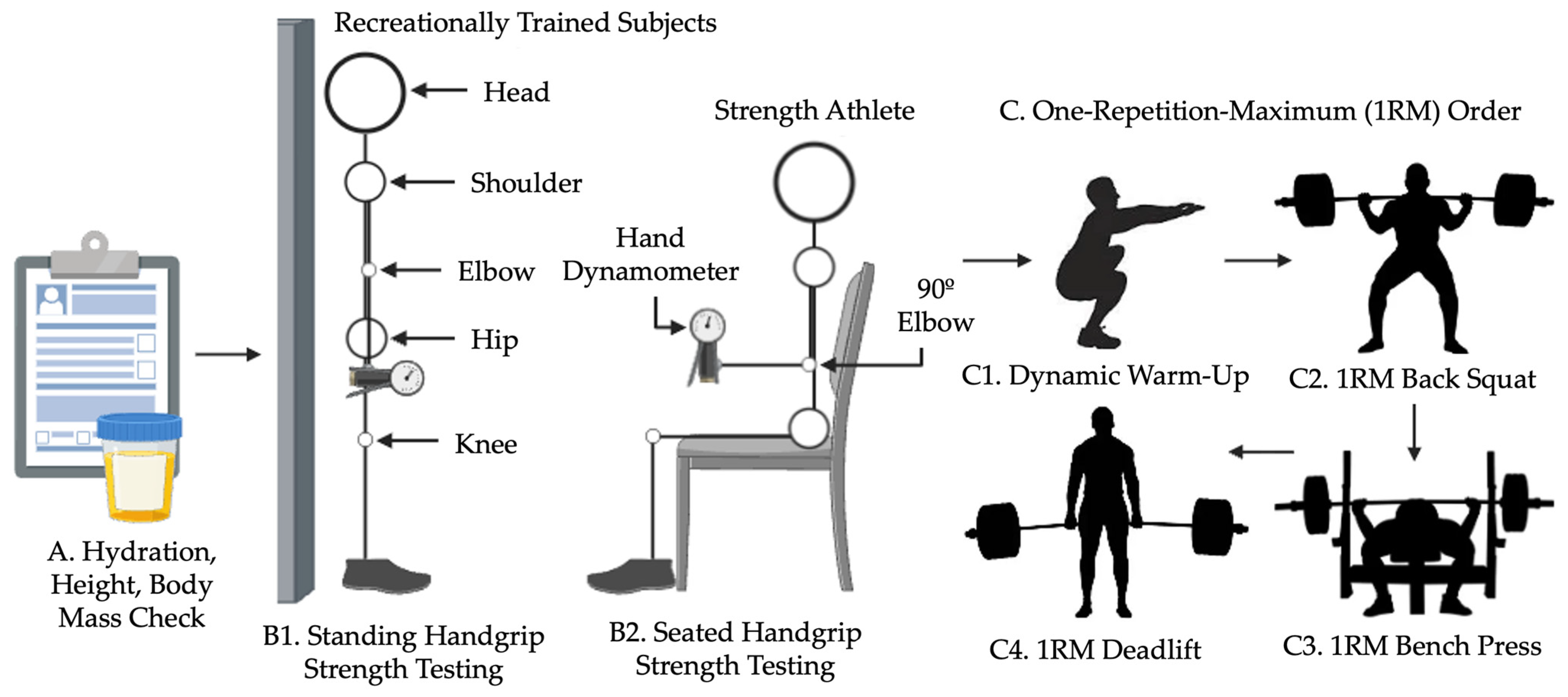 Biomechanics 05 00016 g002