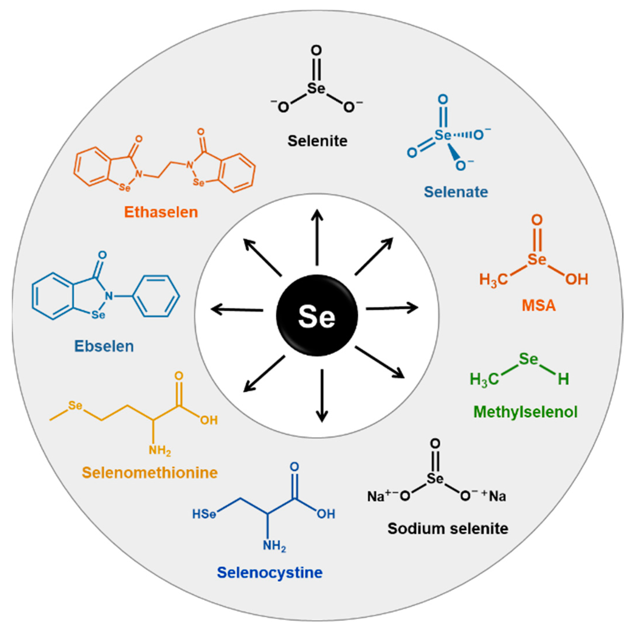 Biomed 02 00025 g003