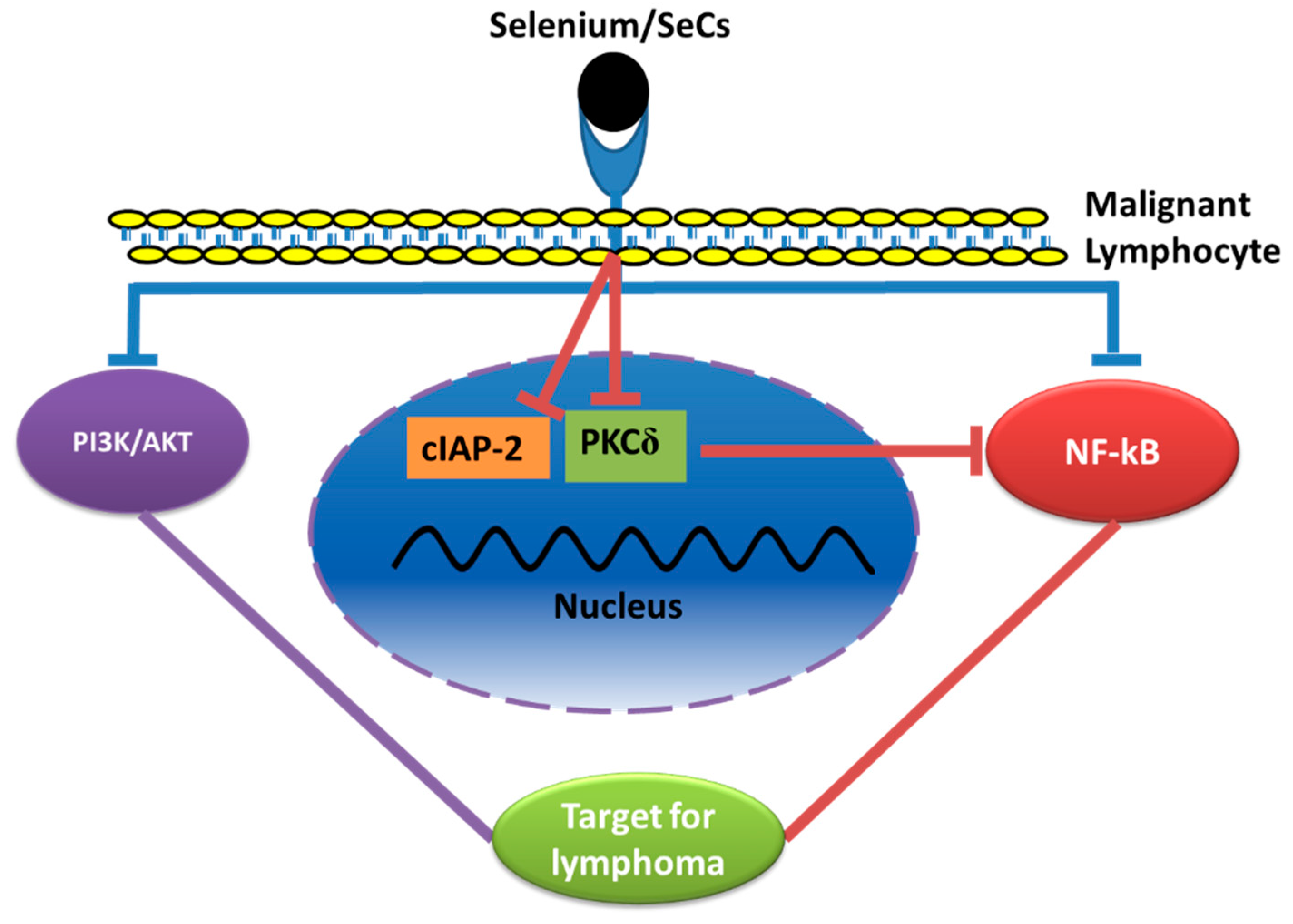 Biomed 02 00025 g006