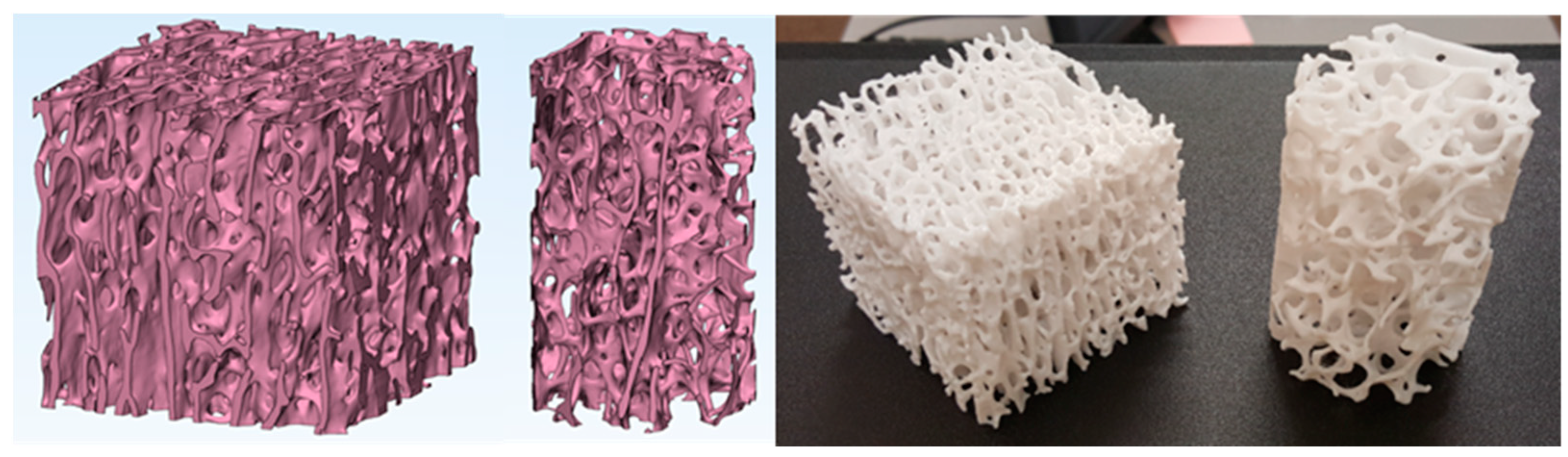 Biomed 03 00007 g006