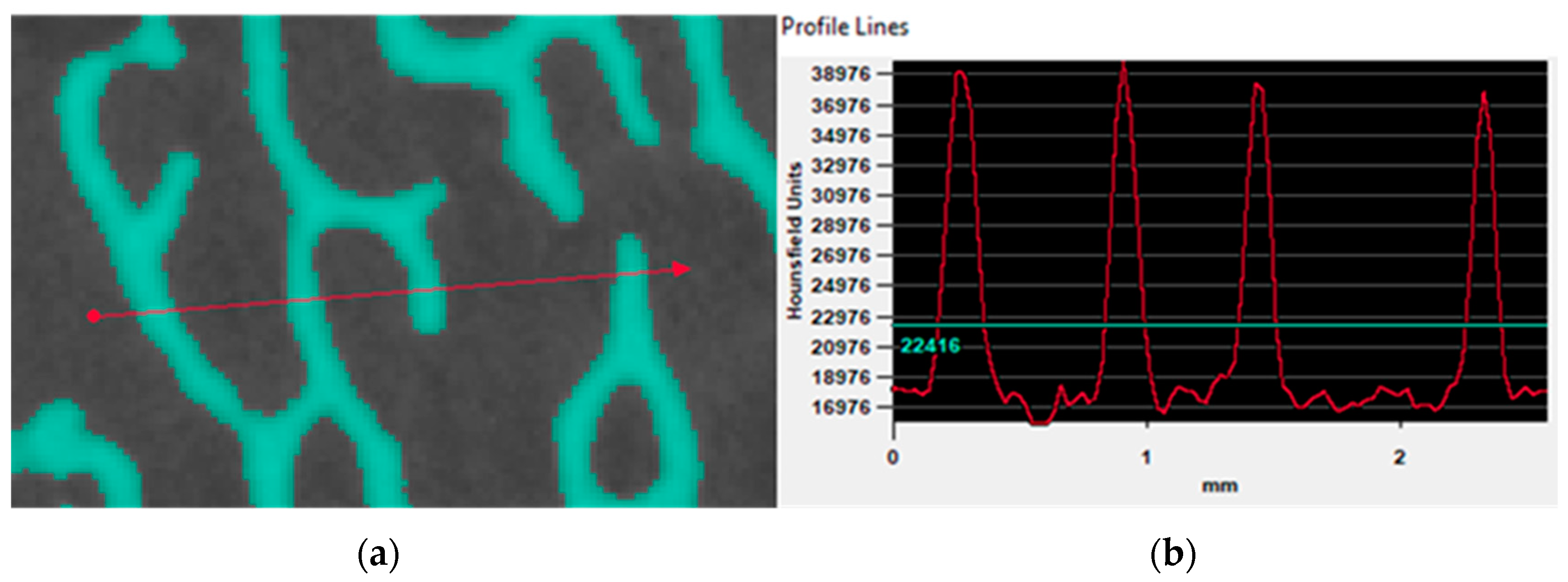 Biomed 03 00007 g007