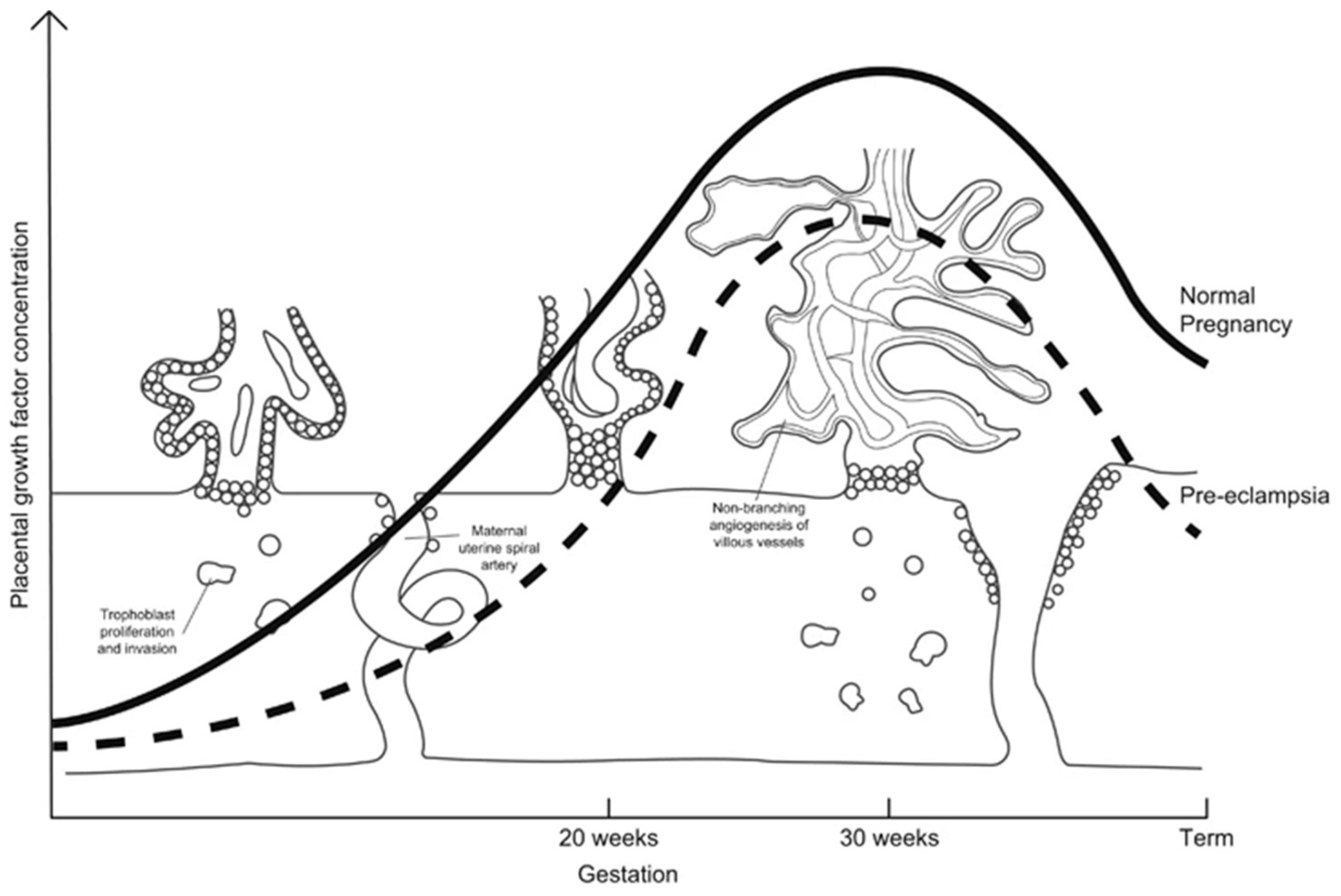 Biomed 04 00010 g001 Biomed 04 00010 g001
