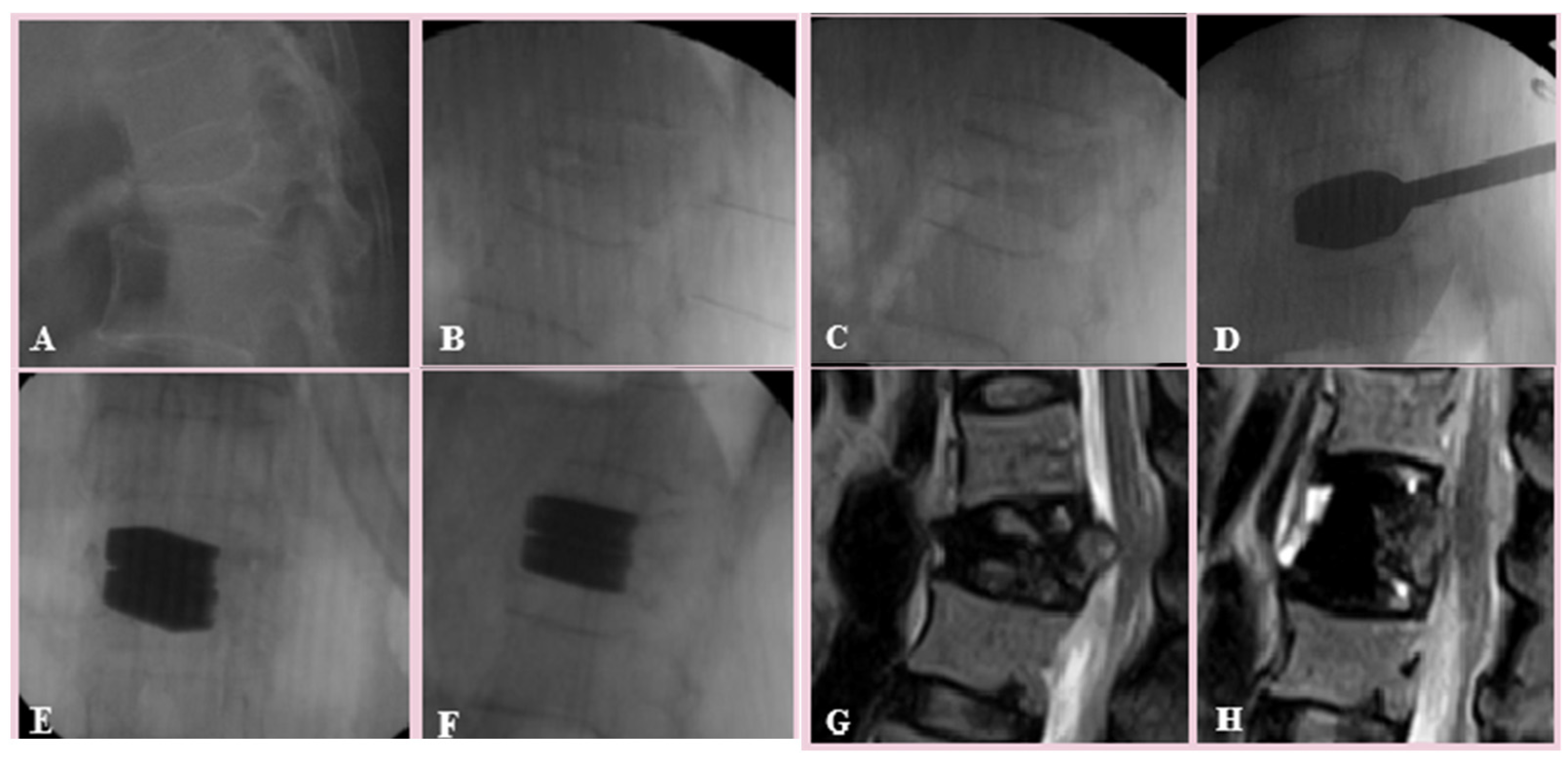 Biomed 04 00011 g002