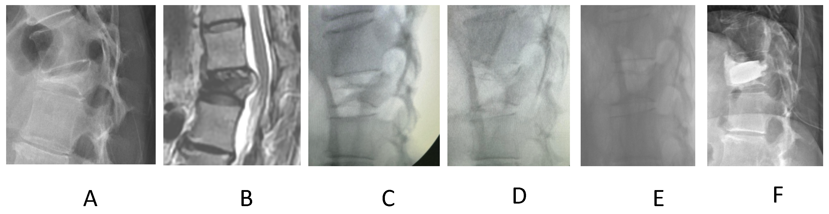 Biomed 04 00011 g004
