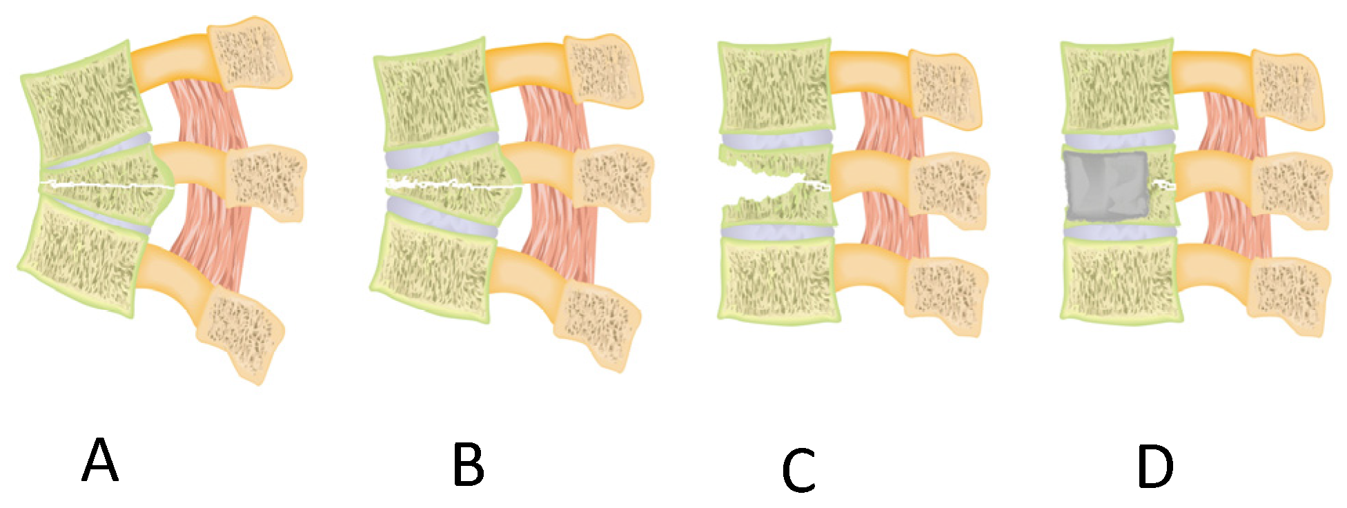 Biomed 04 00011 g007