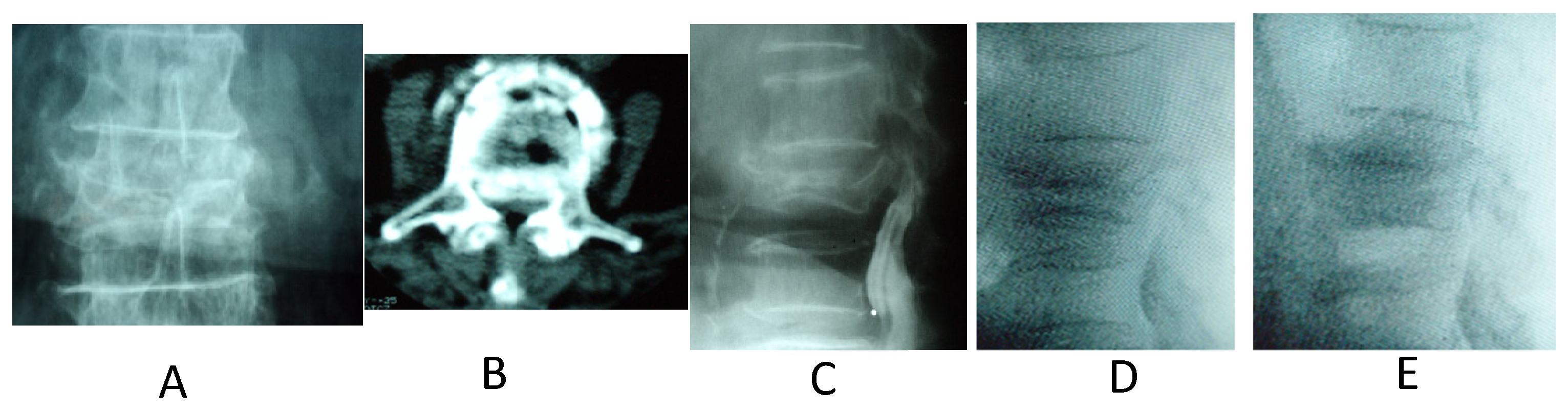 Biomed 04 00011 g008