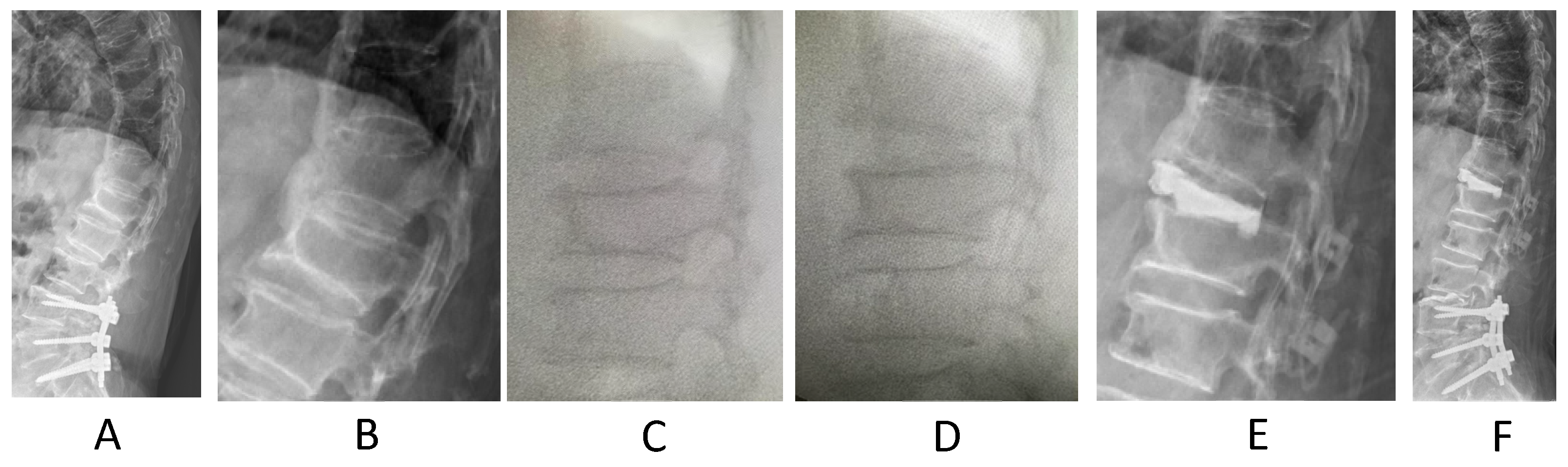 Biomed 04 00011 g011