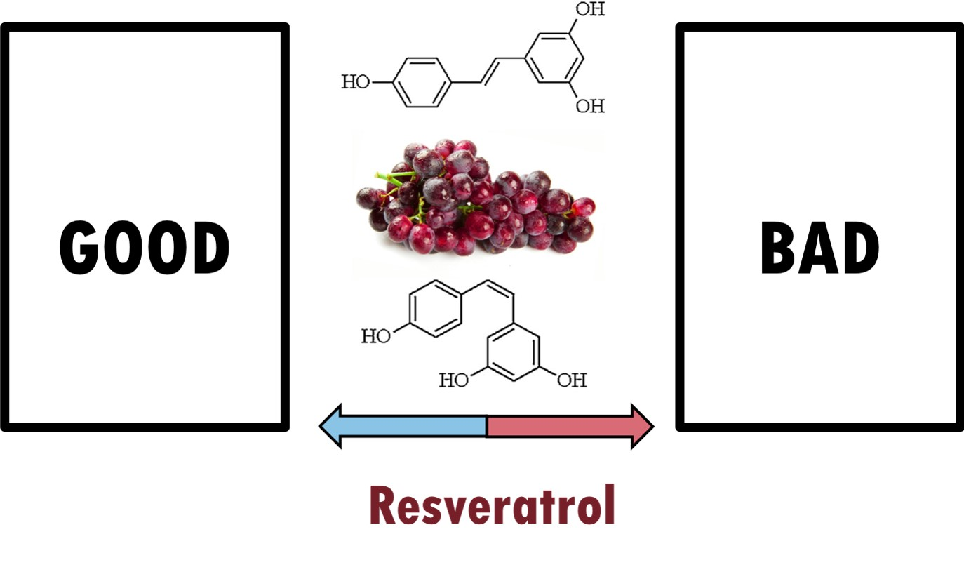 Biomedicines Free Full Text Resveratrol A Double Edged Sword In Health Benefits Html