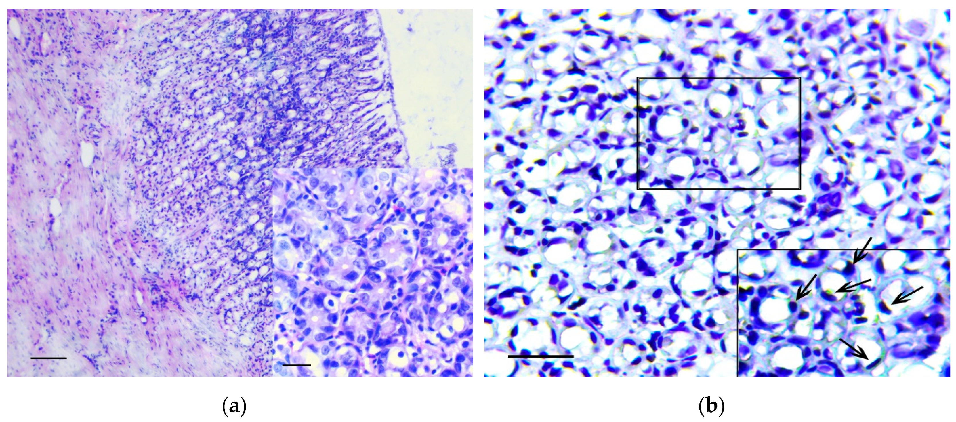 Biomedicines 07 00021 g003 Biomedicines 07 00021 g003