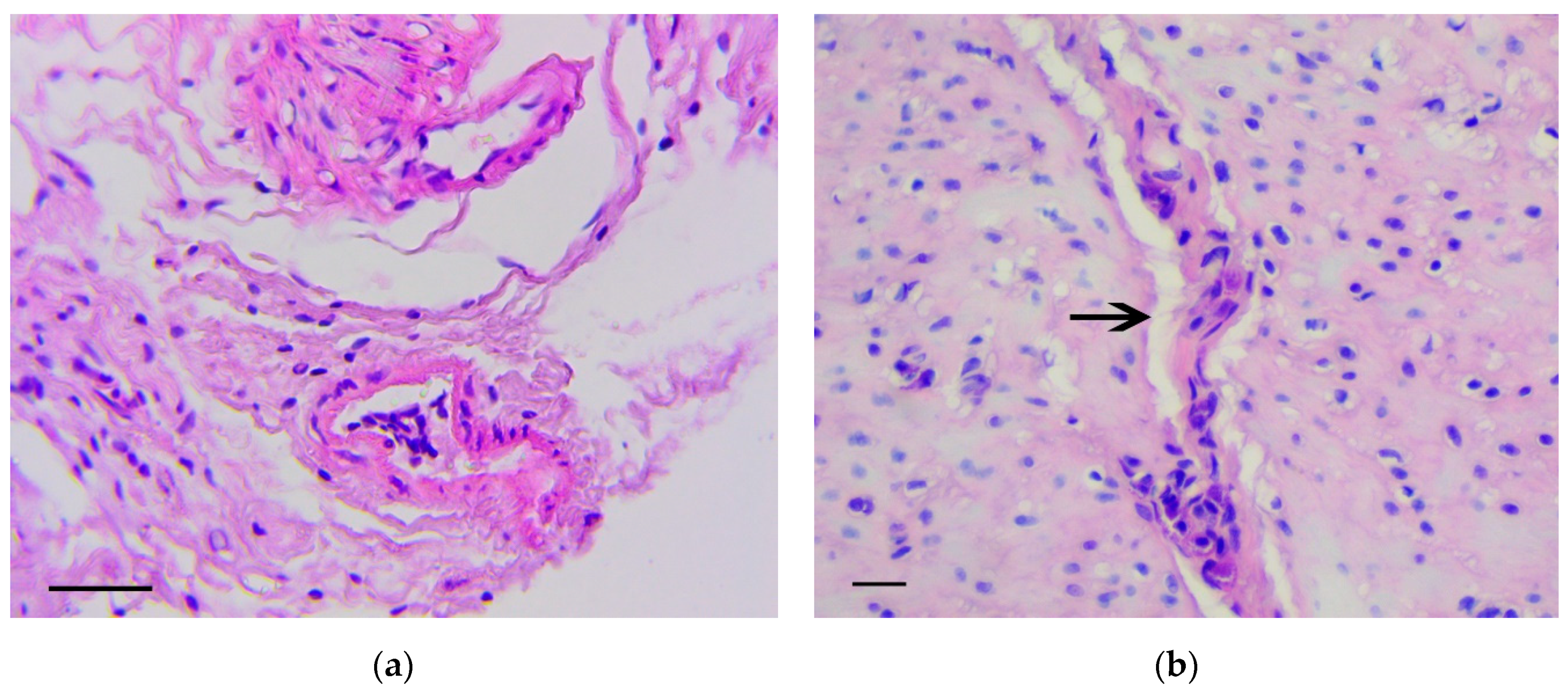 Biomedicines 07 00021 g004a Biomedicines 07 00021 g004a