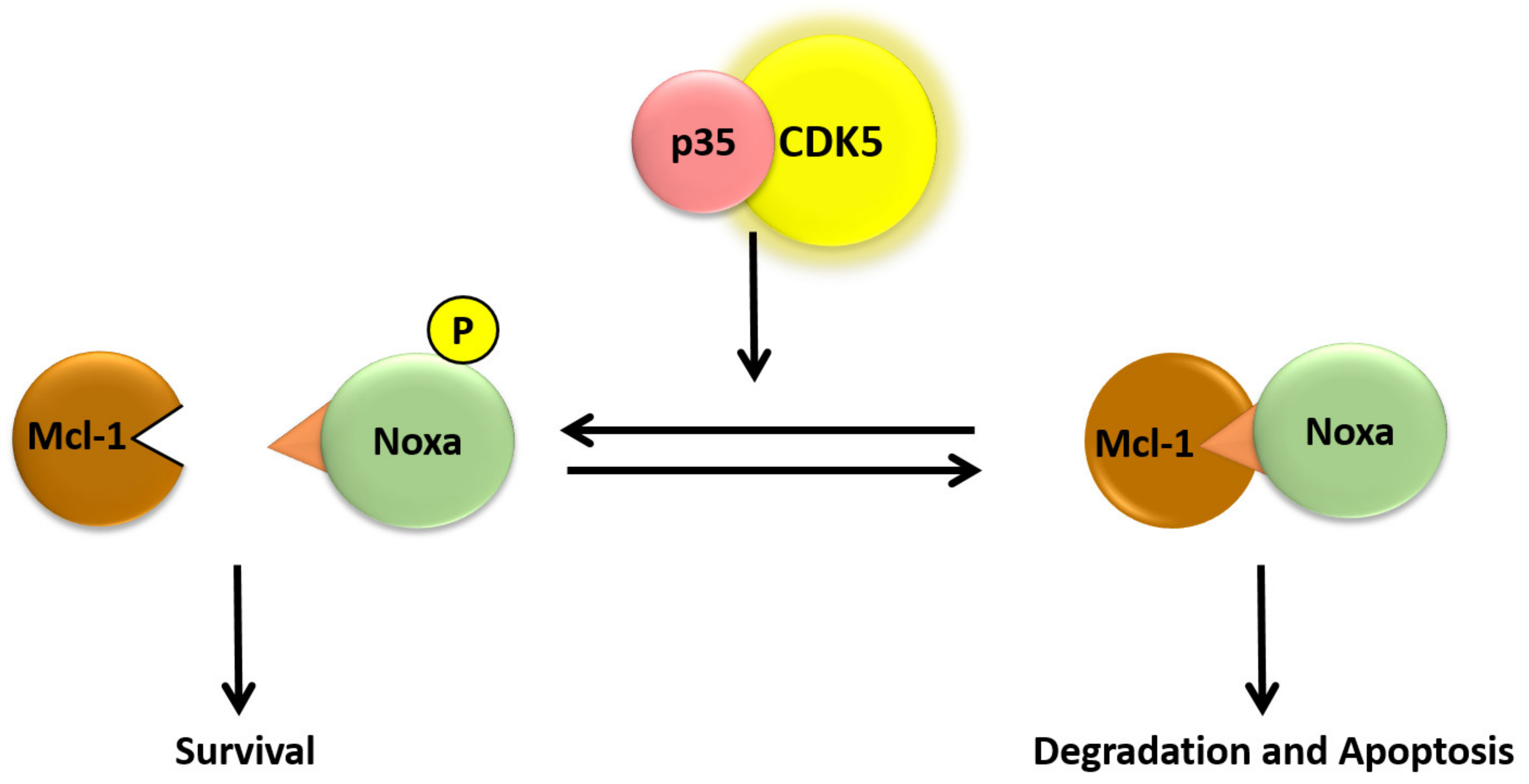 Biomedicines 07 00088 g004
