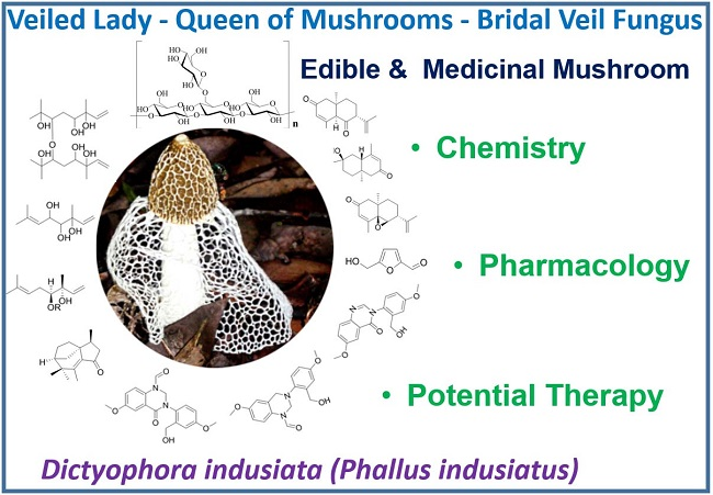 Biomedicines Free Full Text The Chemistry Pharmacology And Therapeutic Potential Of The Edible Mushroom Dictyophora Indusiata Vent Ex Pers Fischer Synn Phallus Indusiatus