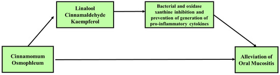 Biomedicines Free Full Text Beneficial Biological Activities Of Cinnamomum Osmophloeum And Its Potential Use In The Alleviation Of Oral Mucositis A Systematic Review Html